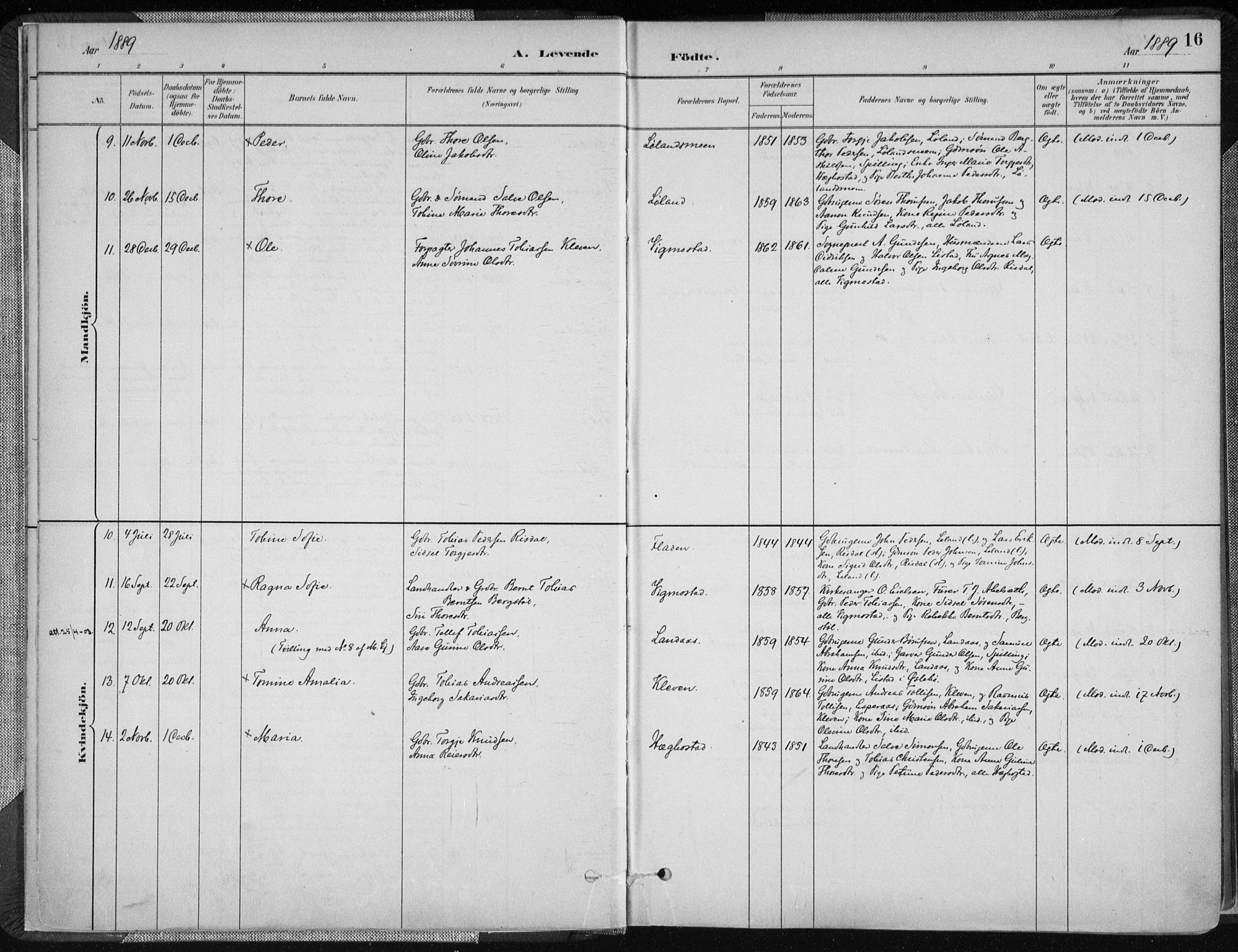 Nord-Audnedal sokneprestkontor, SAK/1111-0032/F/Fa/Fab/L0003: Parish register (official) no. A 3, 1882-1900, p. 16