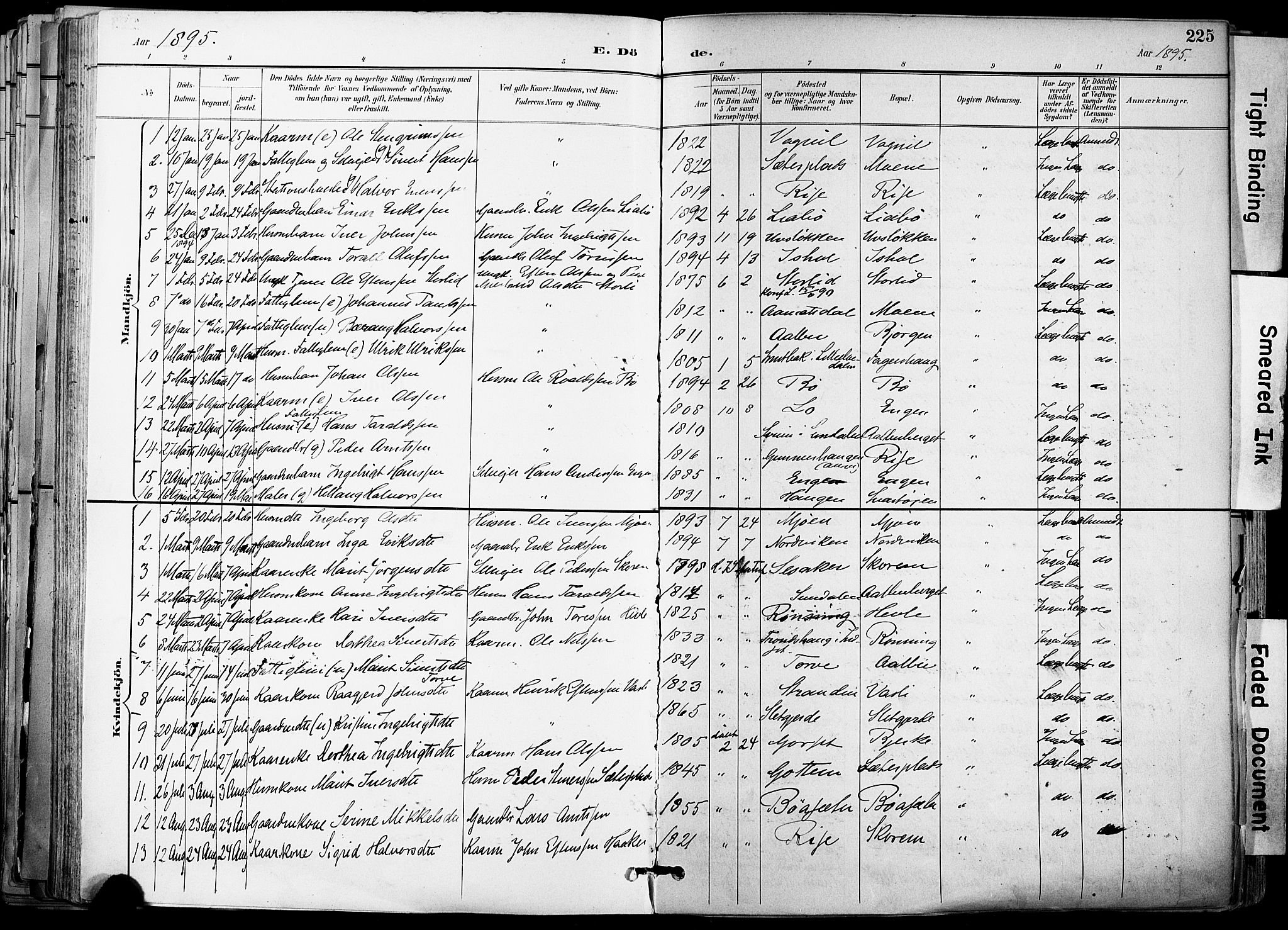 Ministerialprotokoller, klokkerbøker og fødselsregistre - Sør-Trøndelag, SAT/A-1456/678/L0902: Parish register (official) no. 678A11, 1895-1911, p. 225