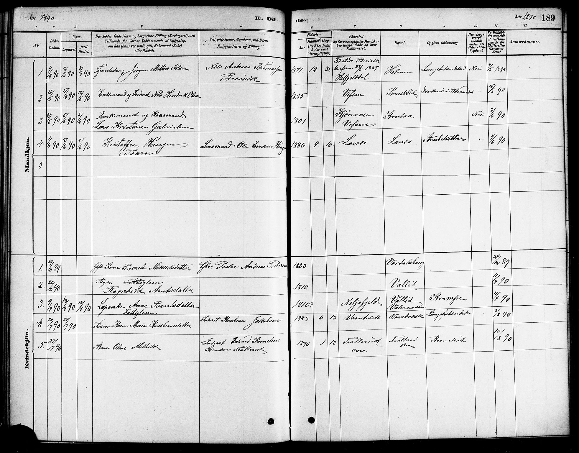 Ministerialprotokoller, klokkerbøker og fødselsregistre - Nordland, SAT/A-1459/823/L0330: Parish register (copy) no. 823C02, 1879-1916, p. 189