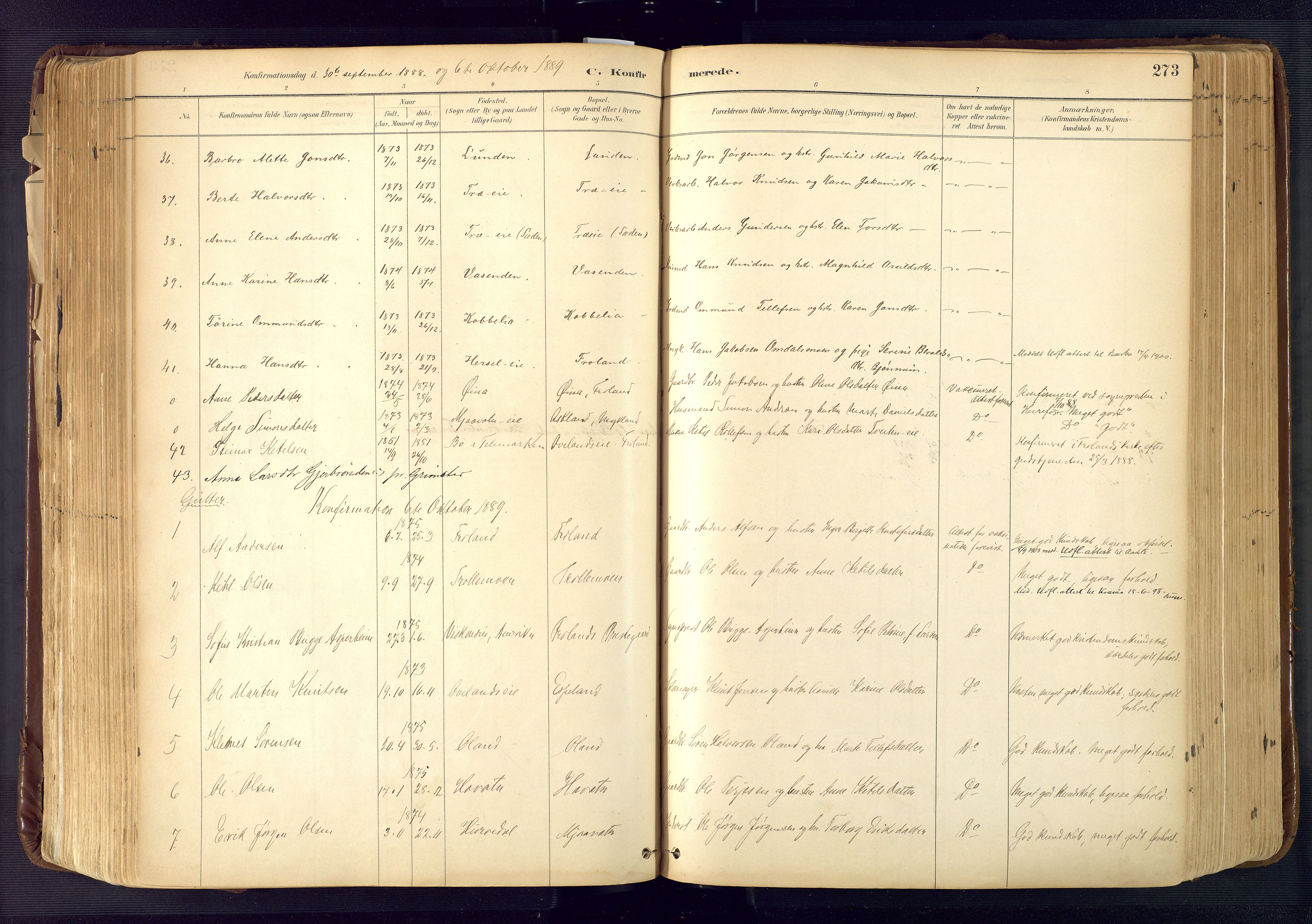 Froland sokneprestkontor, SAK/1111-0013/F/Fa/L0005: Parish register (official) no. A 5, 1882-1921, p. 273