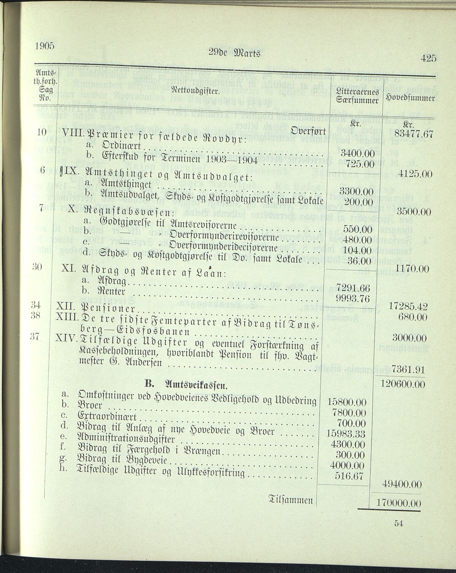 Vestfold fylkeskommune. Fylkestinget, VEMU/A-1315/A/Ab/Abb/L0052: Fylkestingsforhandlinger, 1905, p. 425