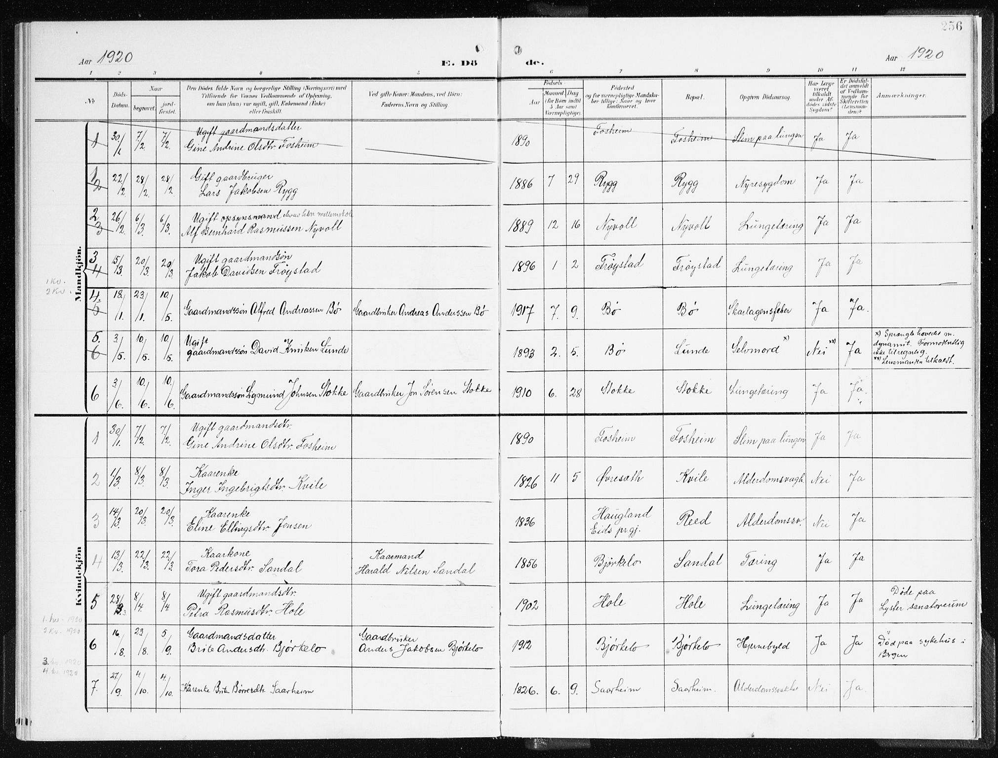 Gloppen sokneprestembete, AV/SAB-A-80101/H/Haa/Haac/L0003: Parish register (official) no. C 3, 1904-1921, p. 256