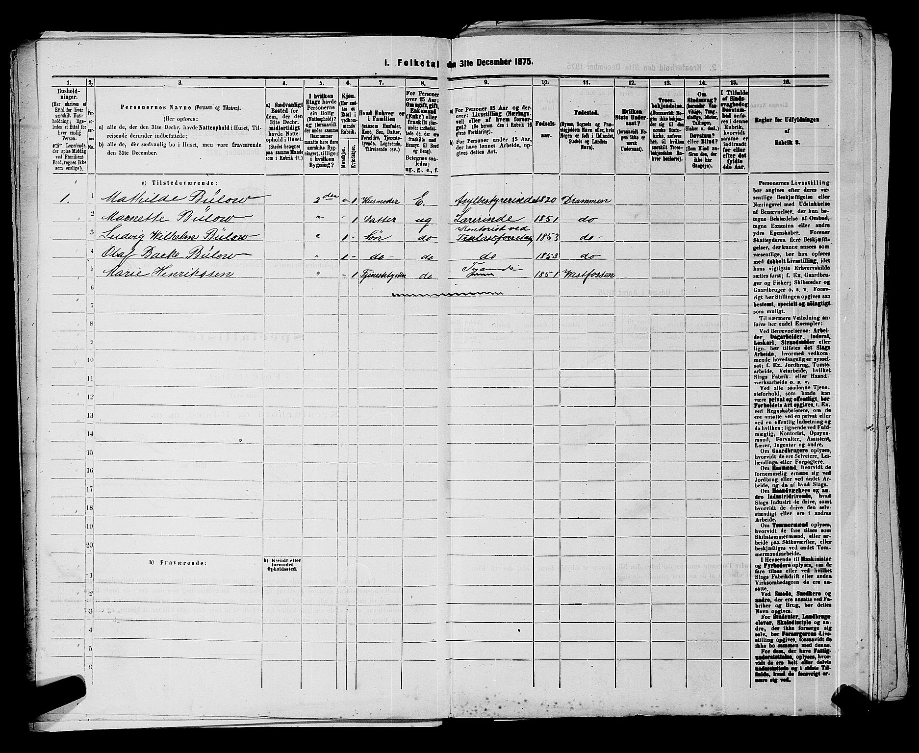SAKO, 1875 census for 0602 Drammen, 1875, p. 417