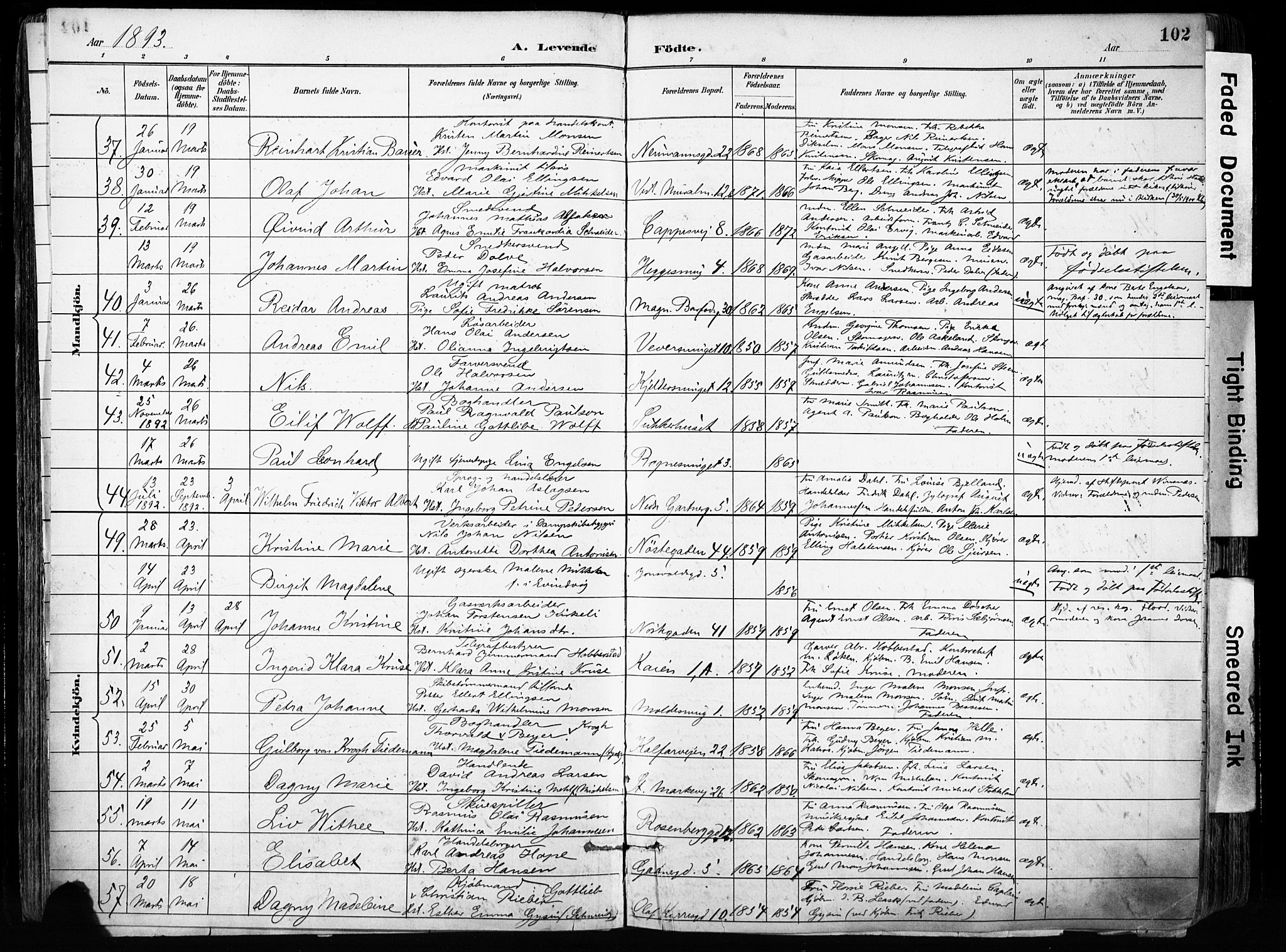Domkirken sokneprestembete, SAB/A-74801/H/Haa/L0024: Parish register (official) no. B 7, 1888-1903, p. 102