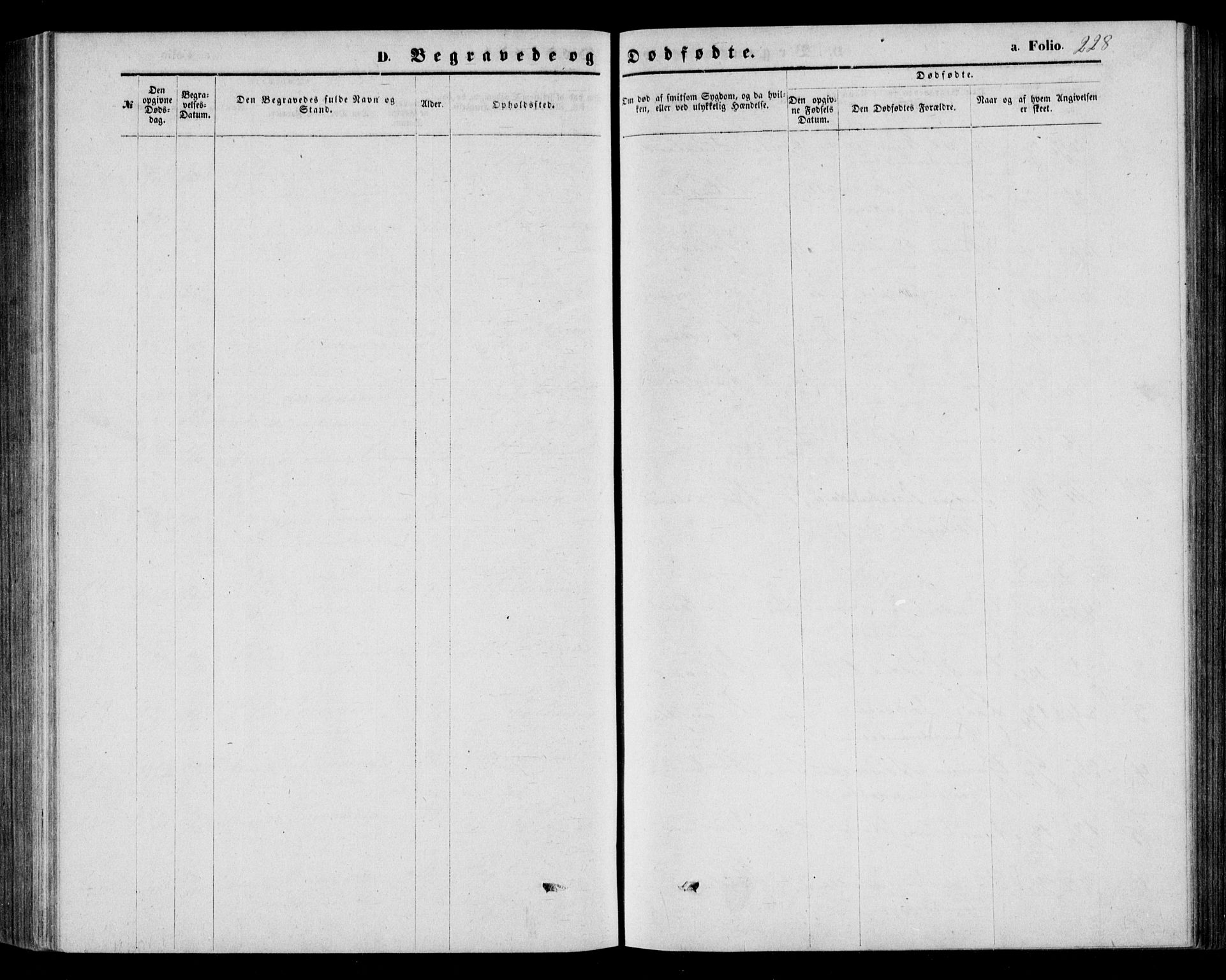 Bjelland sokneprestkontor, AV/SAK-1111-0005/F/Fb/Fbb/L0004: Parish register (copy) no. B 4, 1867-1887, p. 228