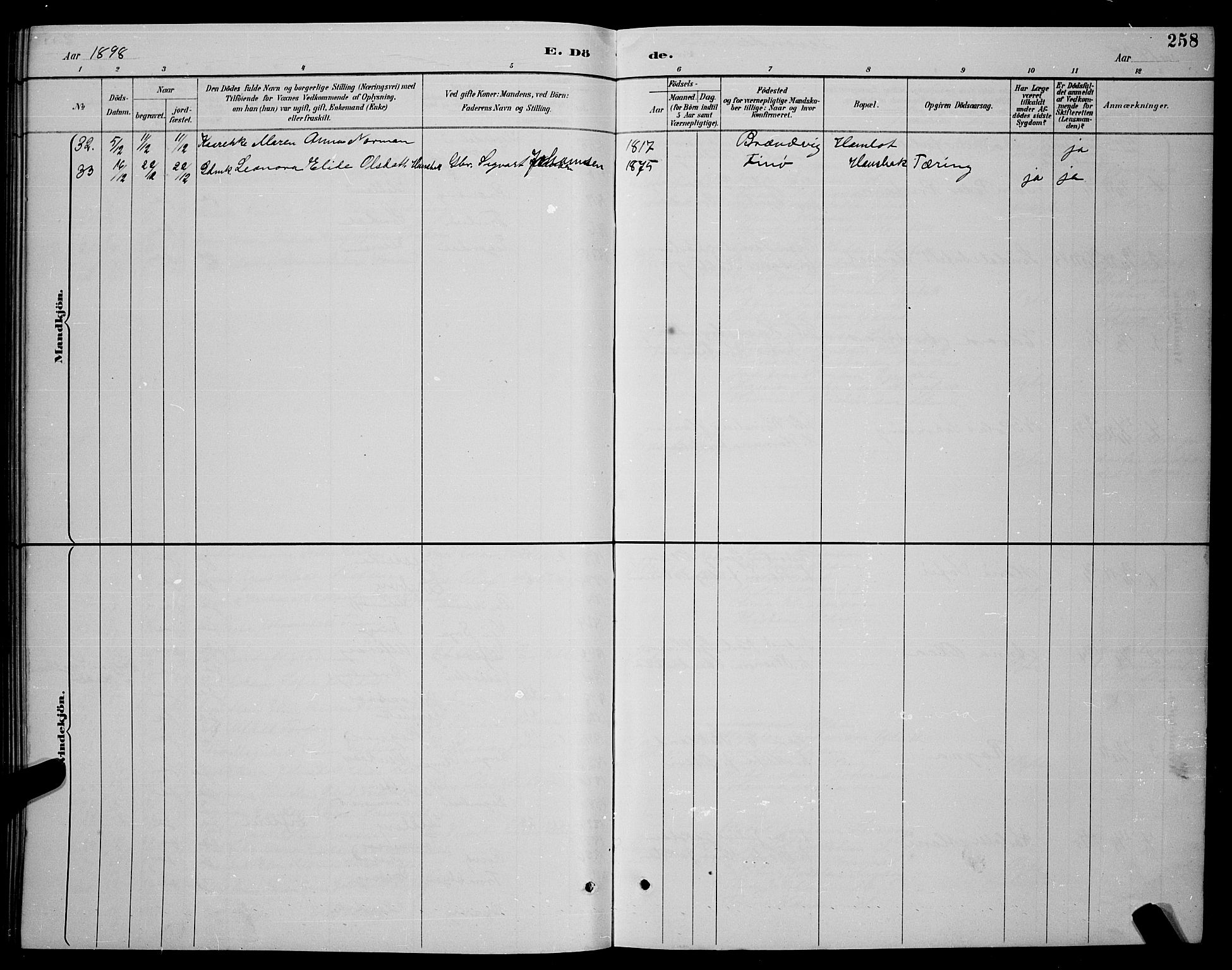 Ministerialprotokoller, klokkerbøker og fødselsregistre - Nordland, SAT/A-1459/859/L0859: Parish register (copy) no. 859C05, 1887-1898, p. 258