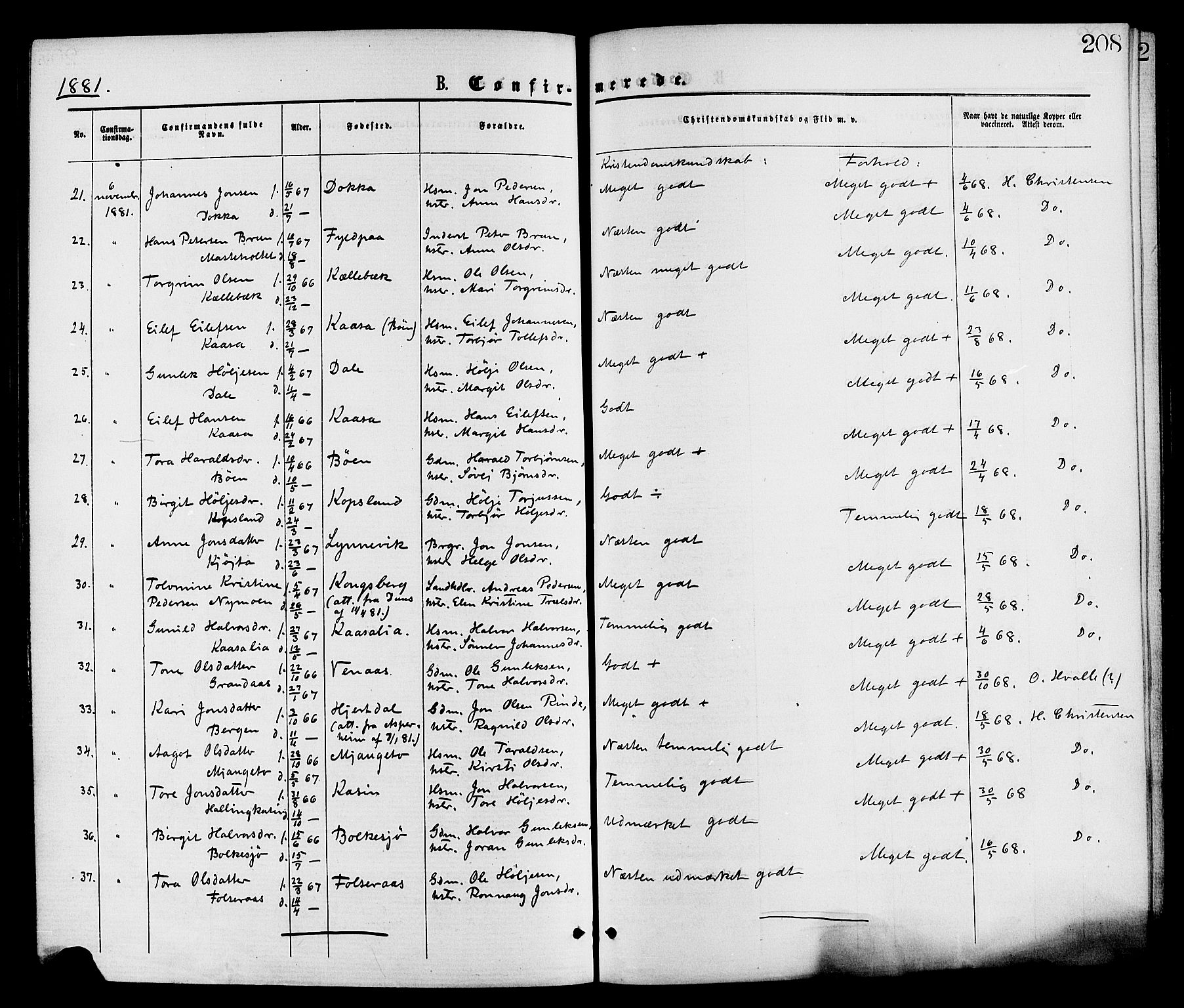Gransherad kirkebøker, SAKO/A-267/F/Fa/L0004: Parish register (official) no. I 4, 1871-1886, p. 208