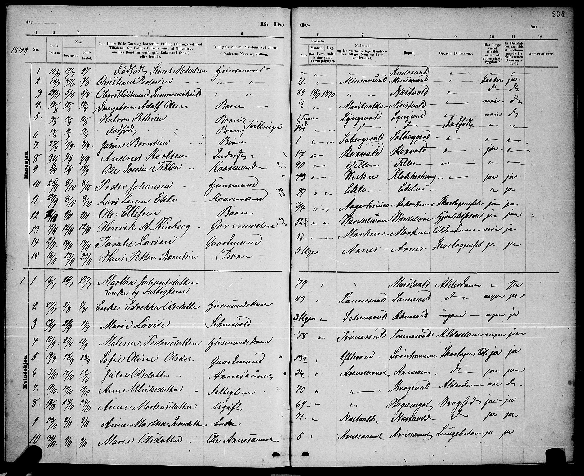 Ministerialprotokoller, klokkerbøker og fødselsregistre - Nord-Trøndelag, SAT/A-1458/723/L0256: Parish register (copy) no. 723C04, 1879-1890, p. 234