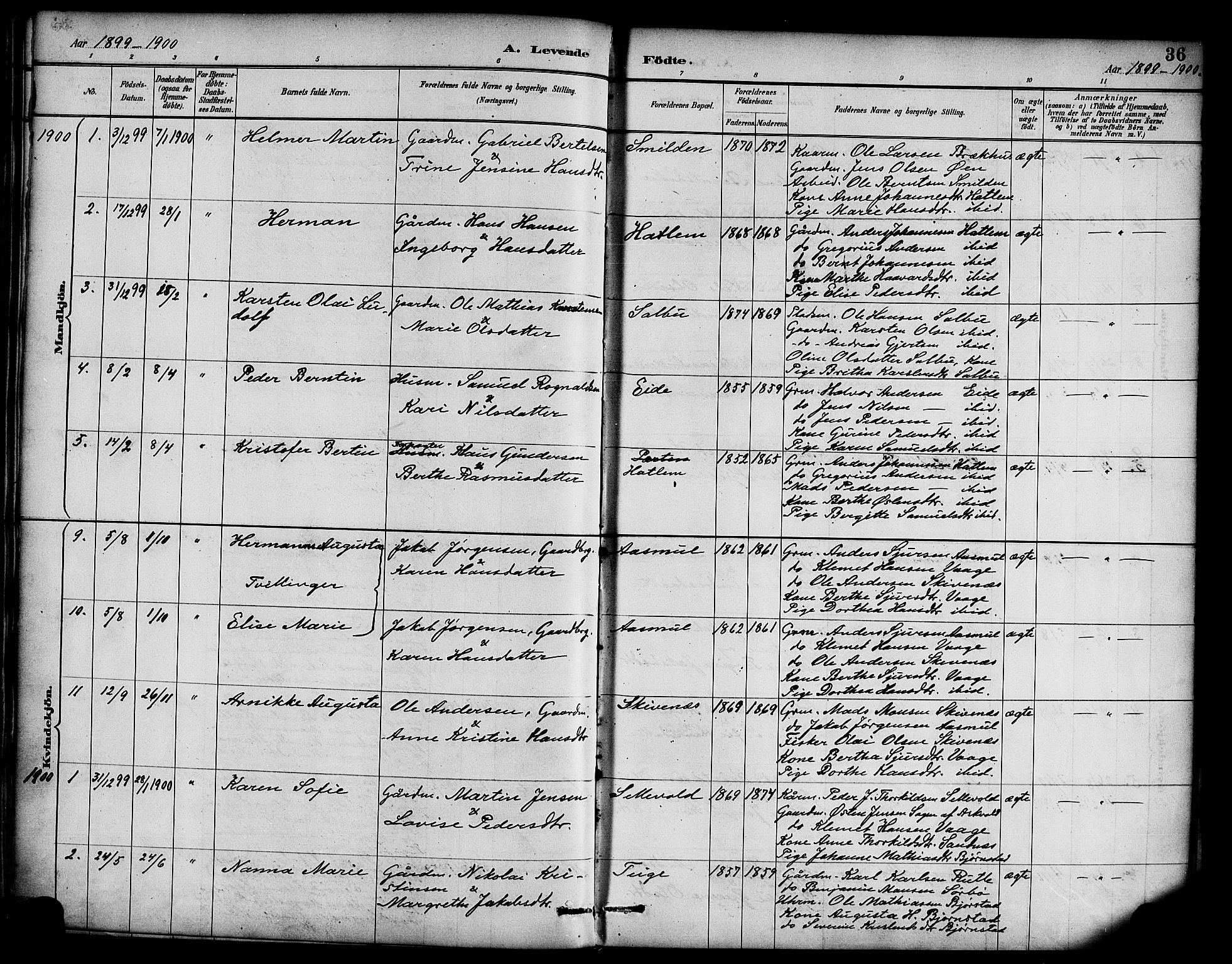 Hyllestad sokneprestembete, SAB/A-80401: Parish register (official) no. D 1, 1886-1905, p. 36