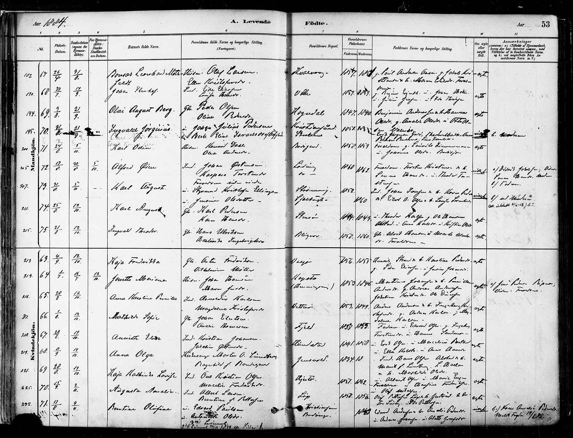 Ministerialprotokoller, klokkerbøker og fødselsregistre - Nordland, SAT/A-1459/802/L0054: Parish register (official) no. 802A01, 1879-1893, p. 53