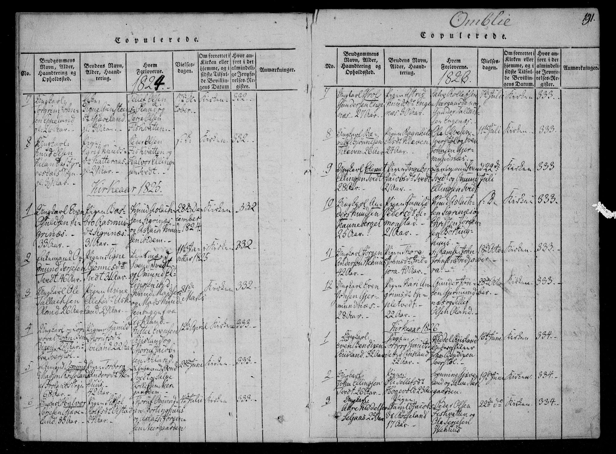 Åmli sokneprestkontor, AV/SAK-1111-0050/F/Fa/Fac/L0006: Parish register (official) no. A 6, 1816-1829, p. 191