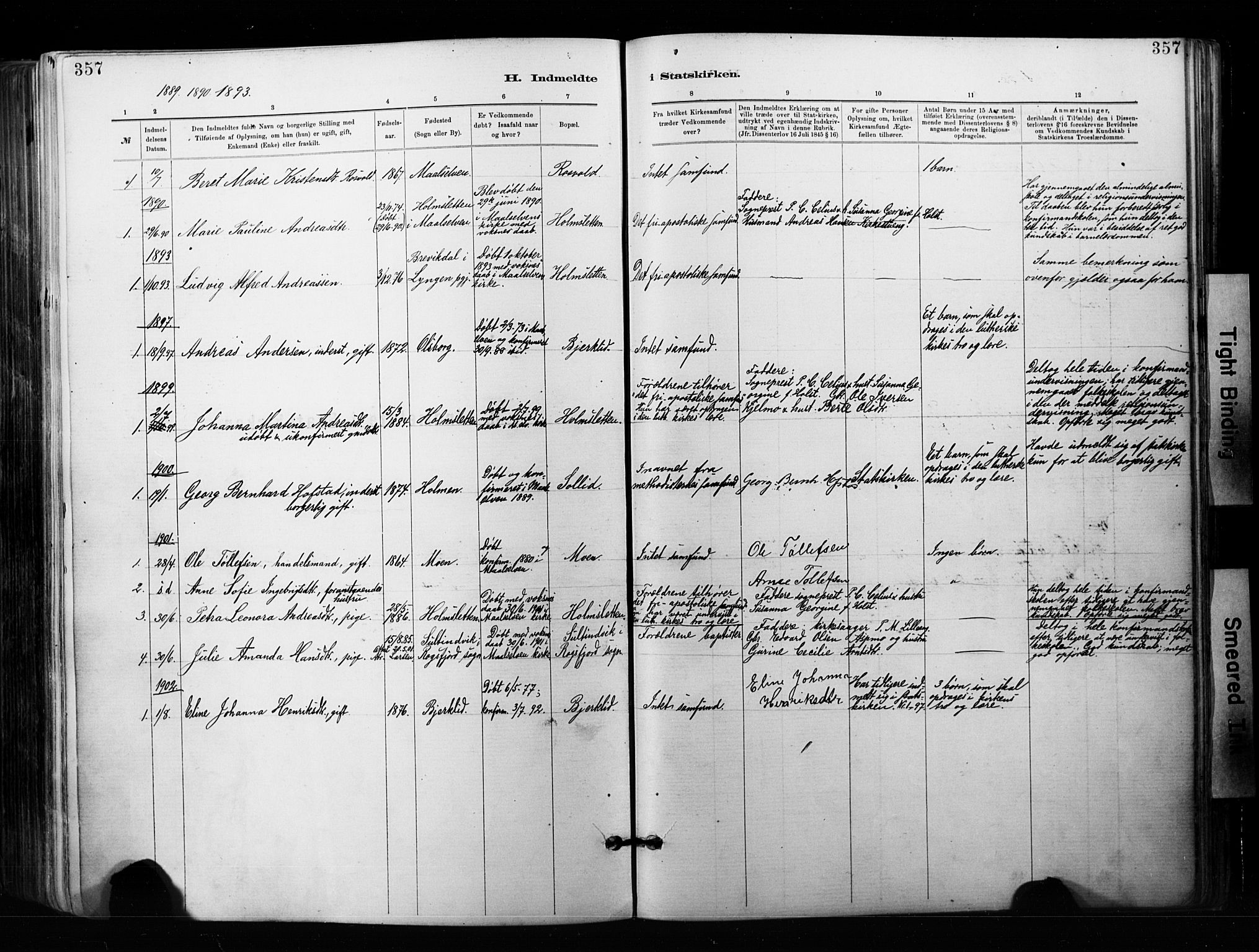 Målselv sokneprestembete, SATØ/S-1311/G/Ga/Gaa/L0007kirke: Parish register (official) no. 7, 1884-1903, p. 357