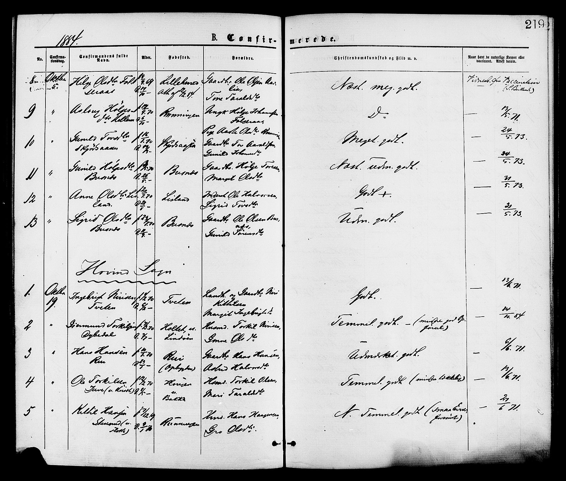 Gransherad kirkebøker, SAKO/A-267/F/Fa/L0004: Parish register (official) no. I 4, 1871-1886, p. 219