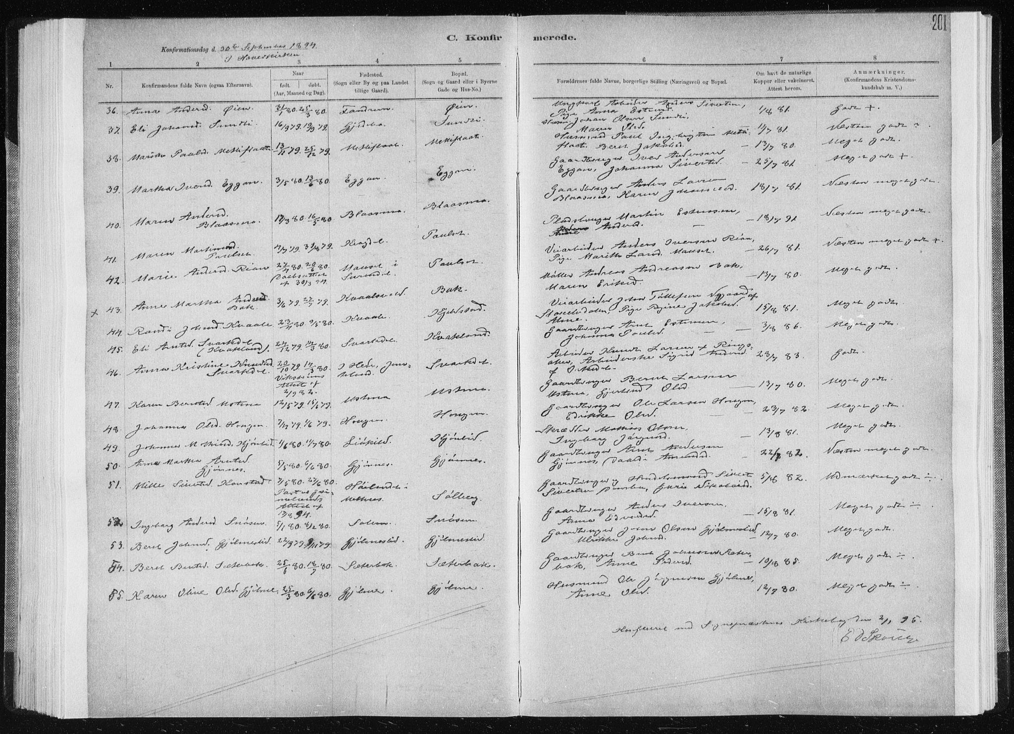 Ministerialprotokoller, klokkerbøker og fødselsregistre - Sør-Trøndelag, SAT/A-1456/668/L0818: Parish register (copy) no. 668C07, 1885-1898, p. 201