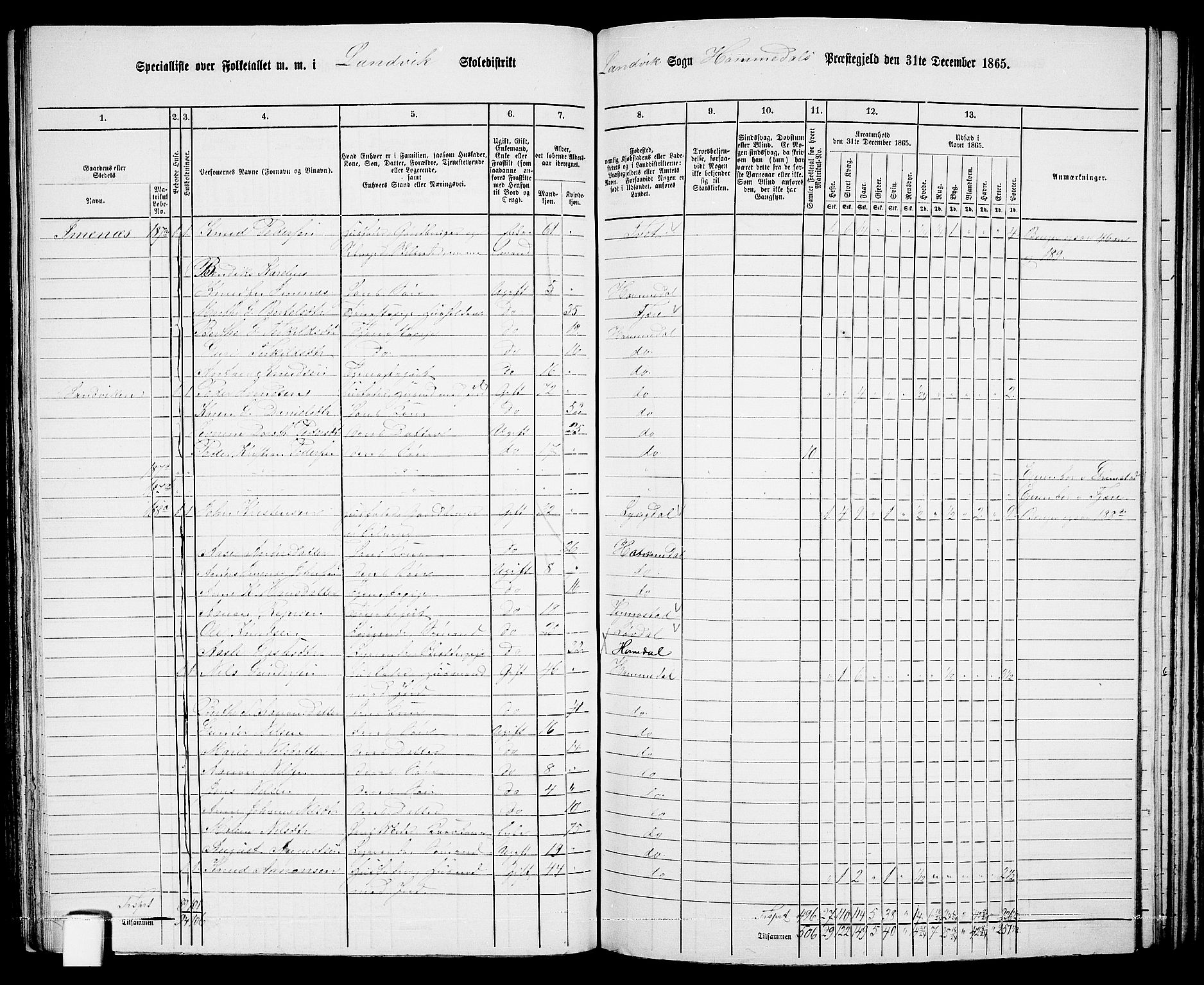 RA, 1865 census for Homedal, 1865, p. 95