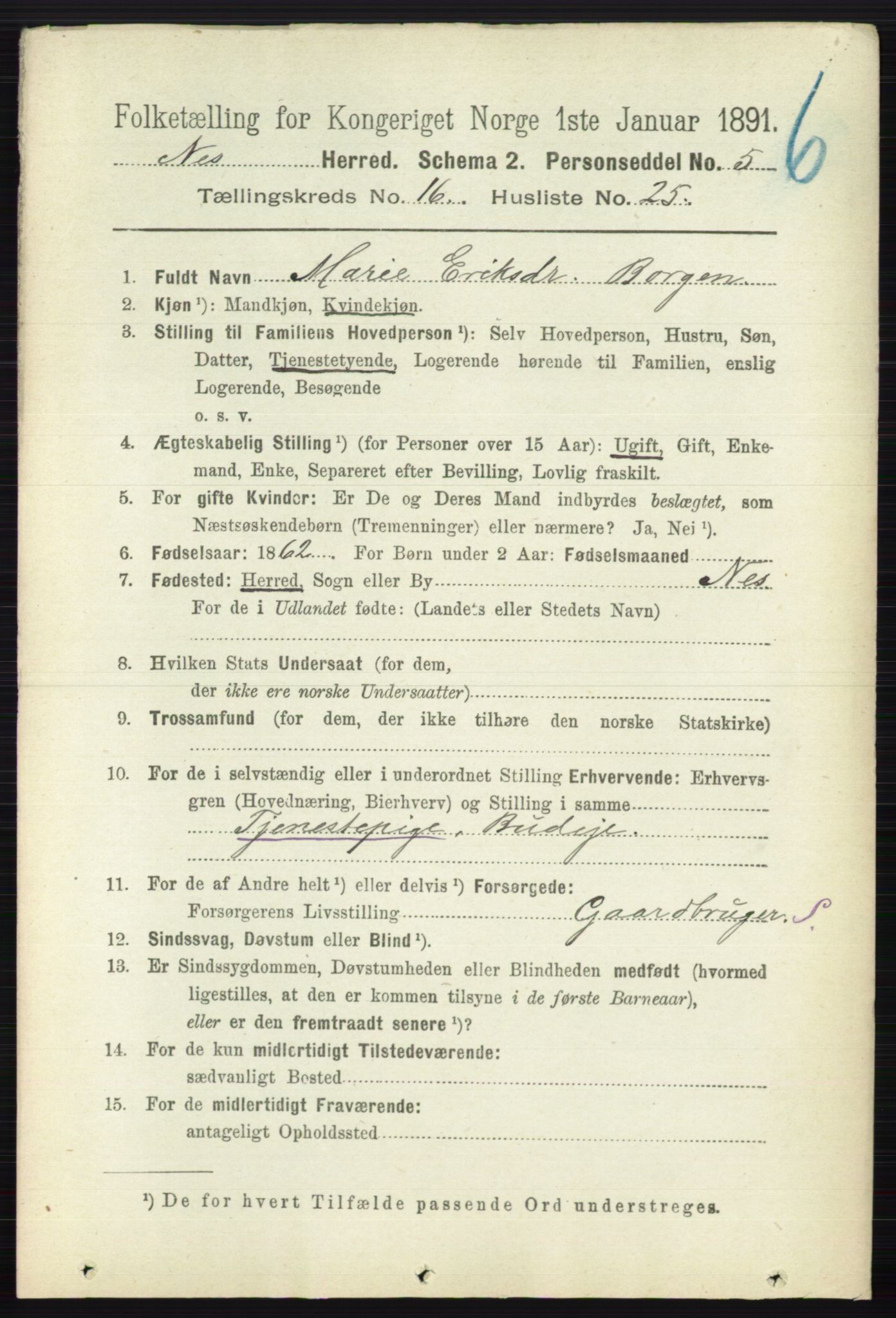 RA, 1891 census for 0236 Nes, 1891, p. 9702
