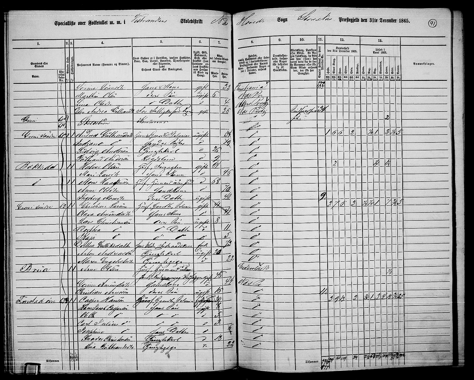RA, 1865 census for Nes, 1865, p. 83