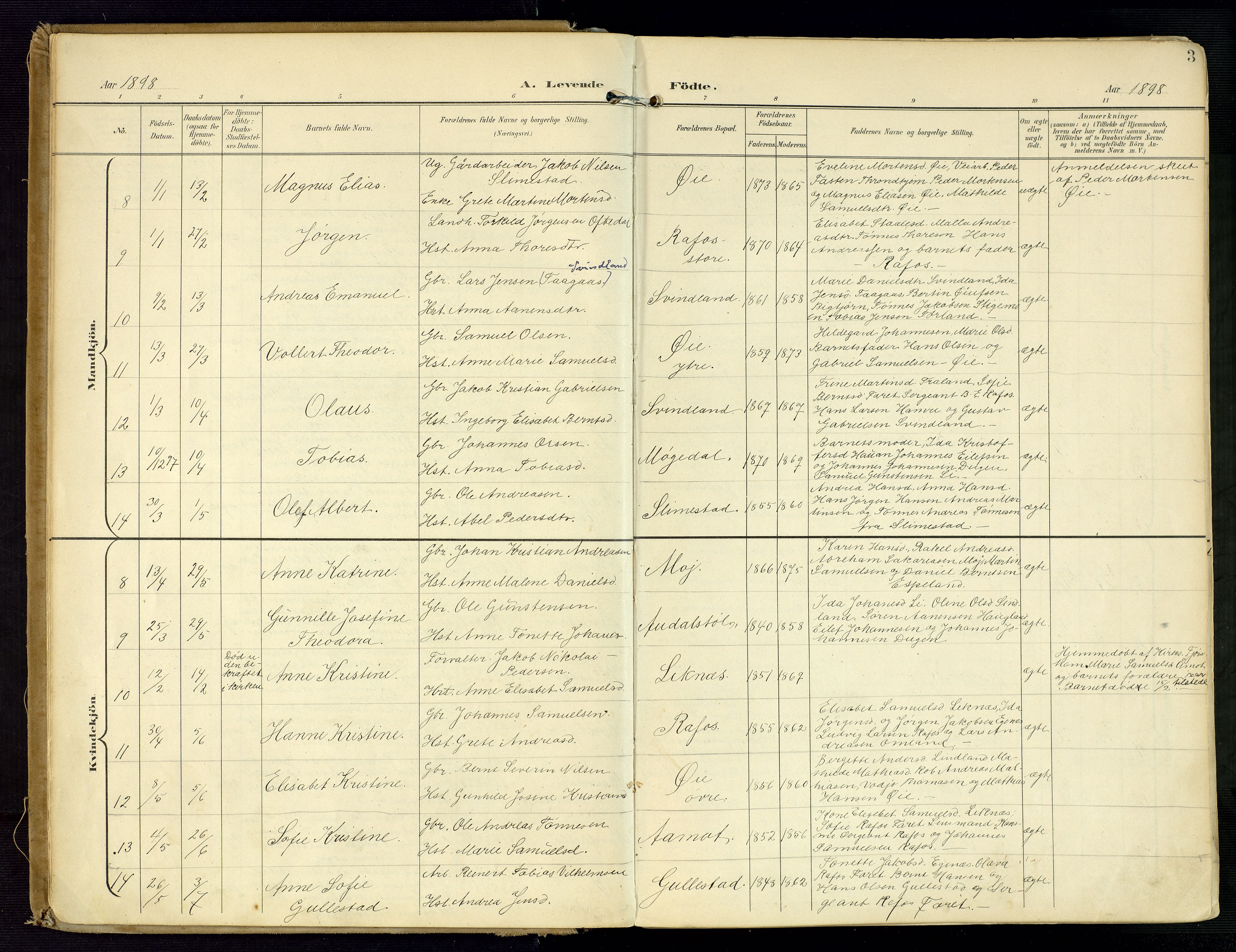 Kvinesdal sokneprestkontor, AV/SAK-1111-0026/F/Fa/Fab/L0009: Parish register (official) no. A 9, 1898-1915, p. 3