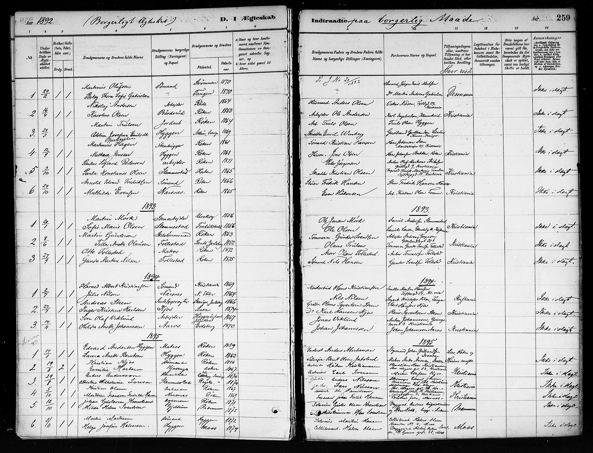 Røyken kirkebøker, SAKO/A-241/F/Fa/L0008: Parish register (official) no. 8, 1880-1897, p. 259