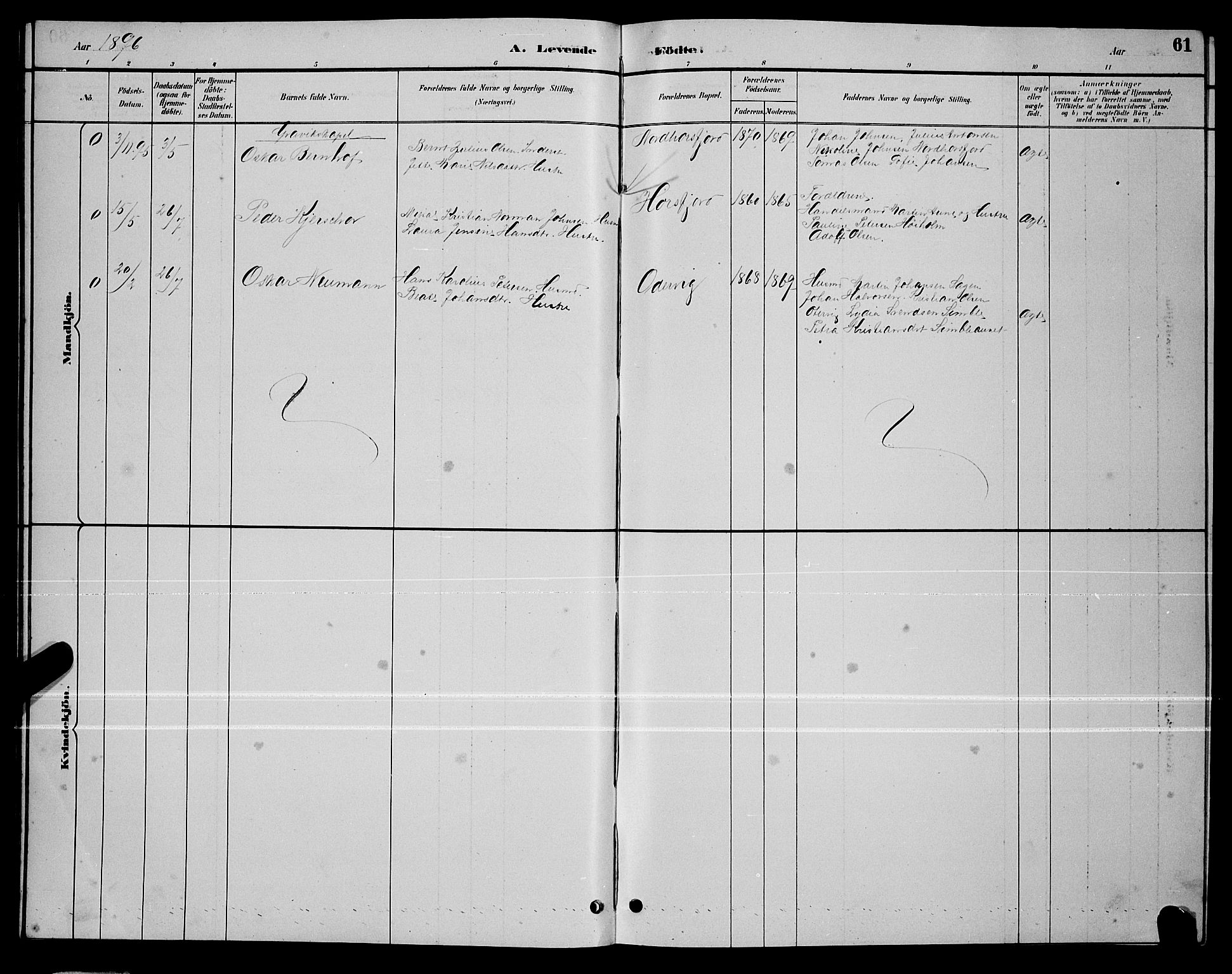 Ministerialprotokoller, klokkerbøker og fødselsregistre - Nordland, AV/SAT-A-1459/810/L0160: Parish register (copy) no. 810C03, 1884-1896, p. 61