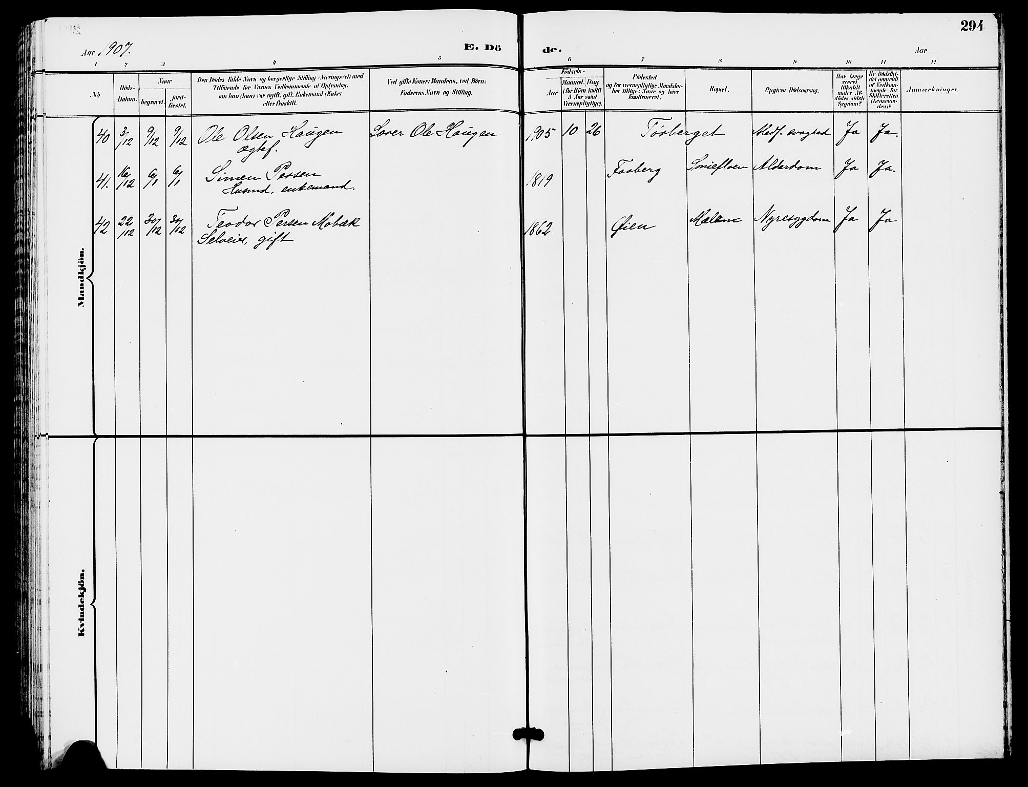 Trysil prestekontor, SAH/PREST-046/H/Ha/Hab/L0006: Parish register (copy) no. 6, 1896-1912, p. 294