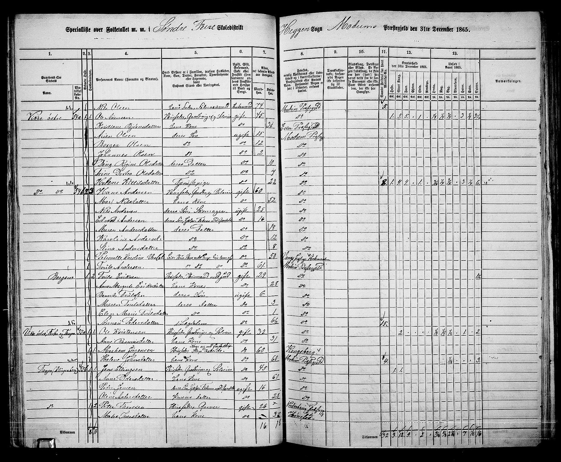 RA, 1865 census for Modum, 1865, p. 49