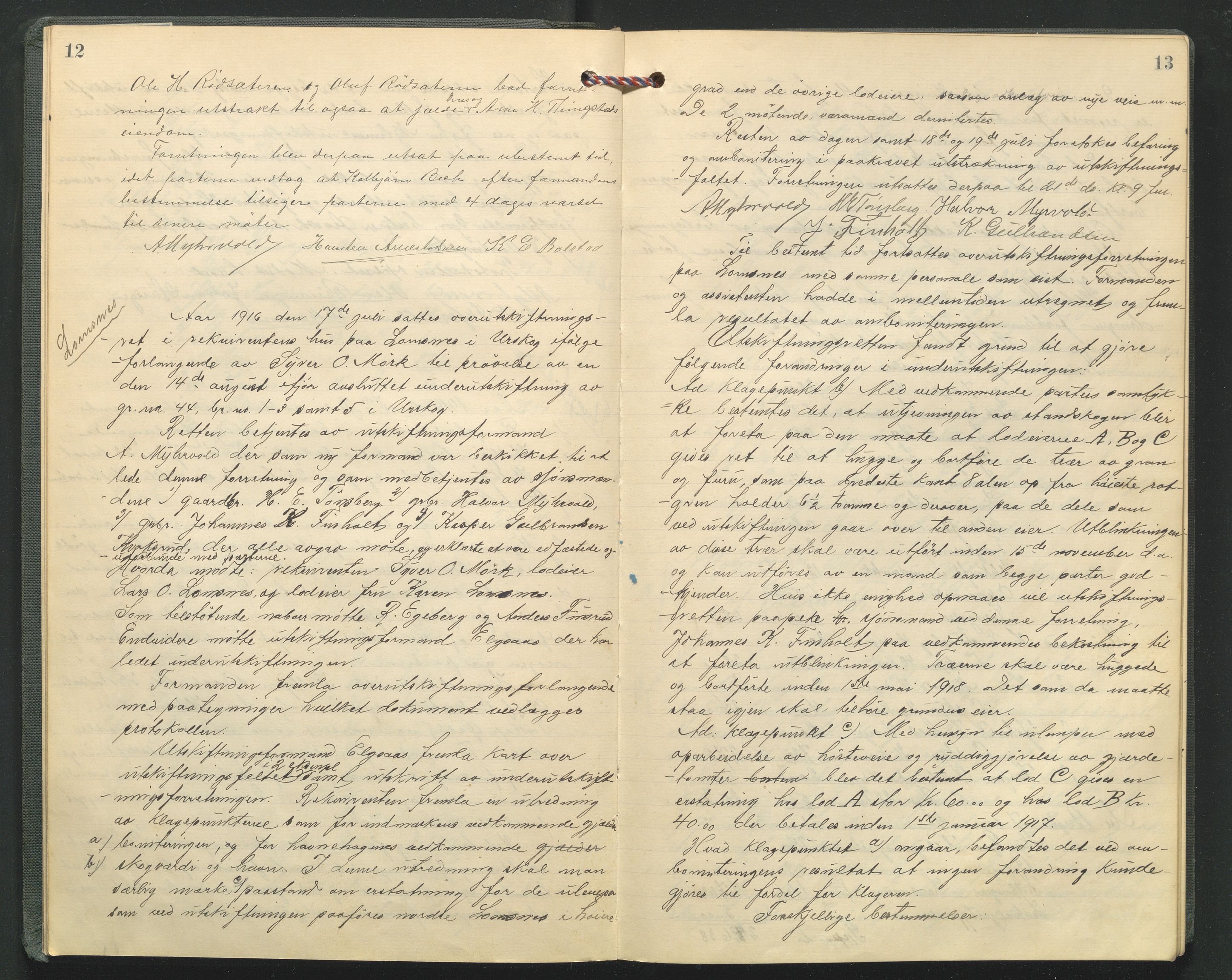 Hedmark og Østerdal jordskifterett, AV/SAH-JORDSKIFTEH-002/G/Ga/L0005/0001: Rettsbøker / Rettsbok - O, 1916-1921, p. 12-13