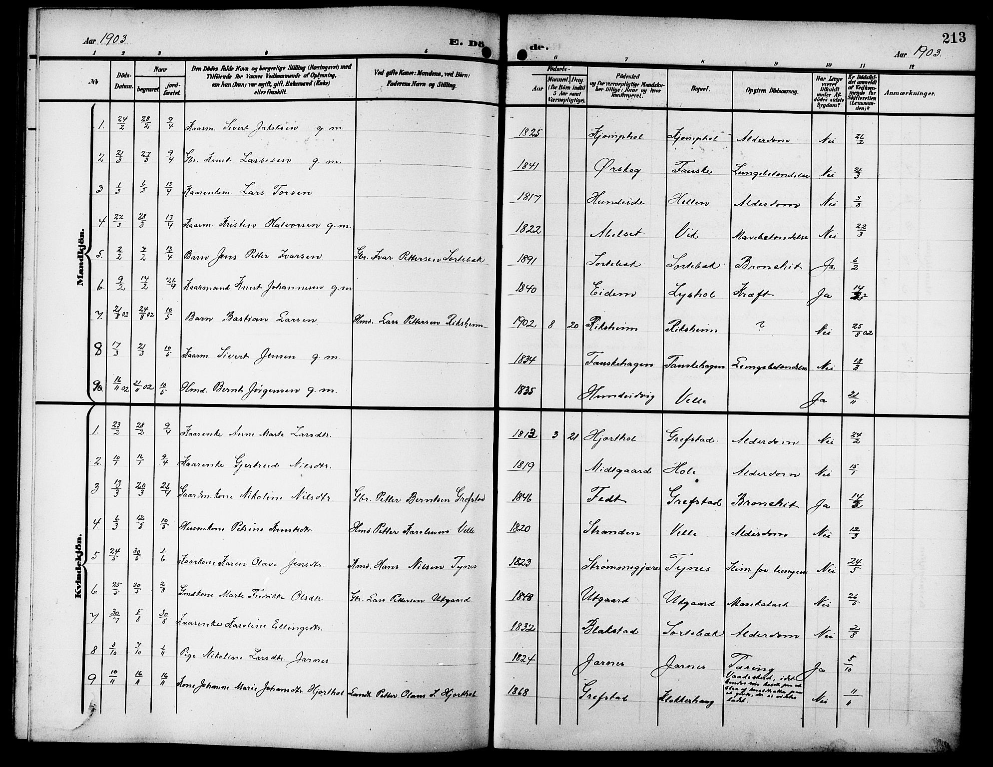 Ministerialprotokoller, klokkerbøker og fødselsregistre - Møre og Romsdal, AV/SAT-A-1454/523/L0341: Parish register (copy) no. 523C04, 1903-1916, p. 213