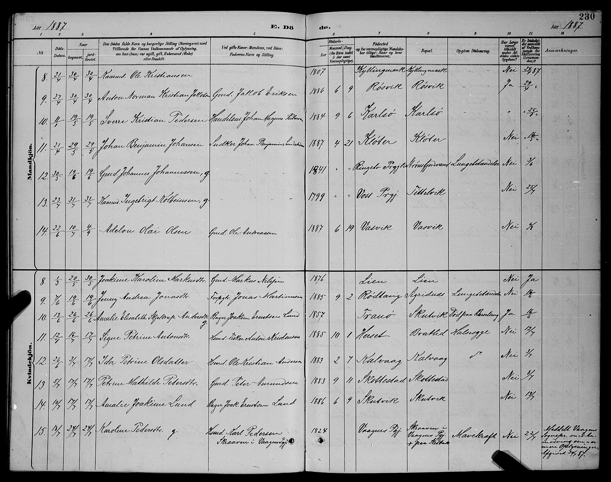 Ministerialprotokoller, klokkerbøker og fødselsregistre - Nordland, SAT/A-1459/859/L0859: Parish register (copy) no. 859C05, 1887-1898, p. 230