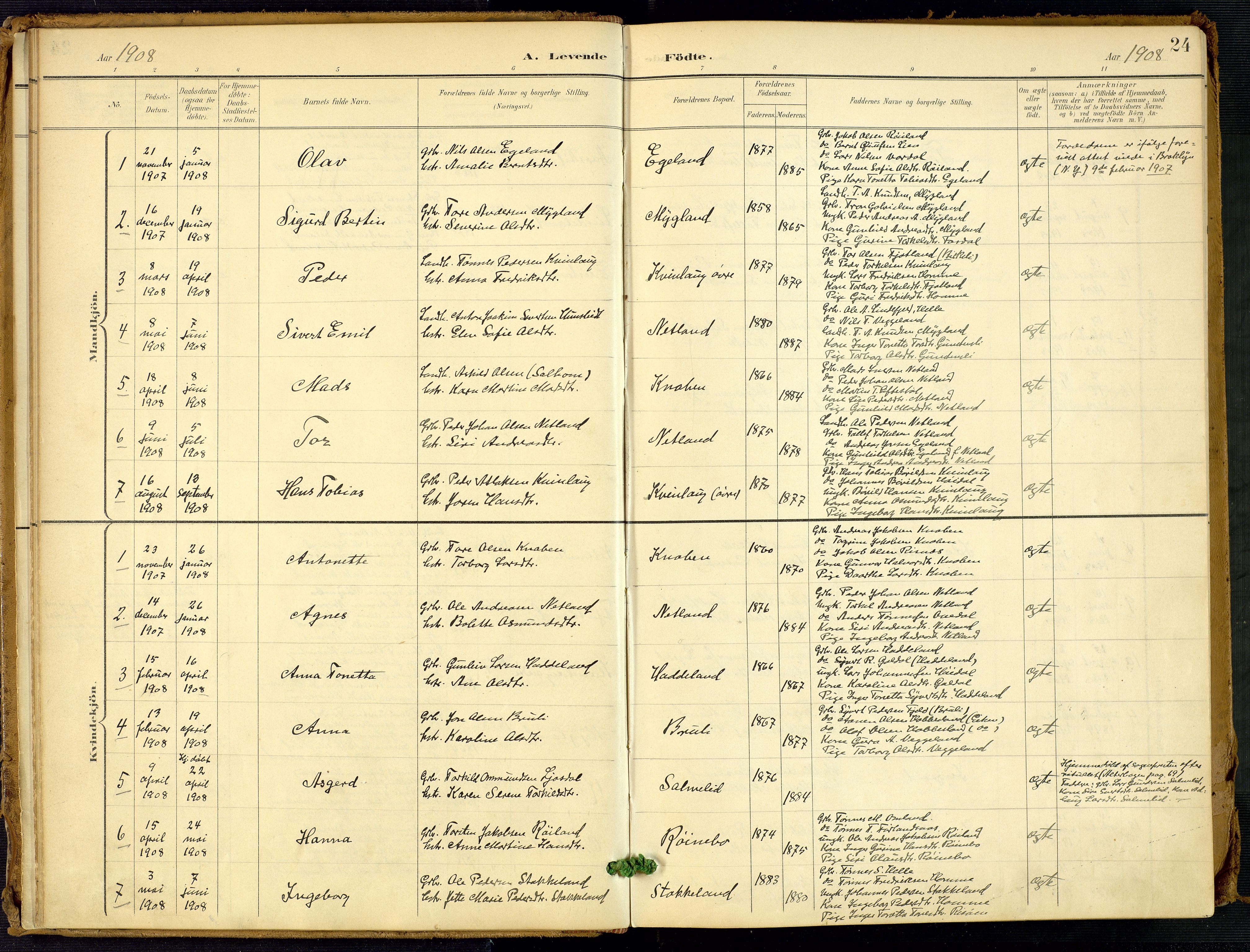 Fjotland sokneprestkontor, AV/SAK-1111-0010/F/Fa/L0003: Parish register (official) no. A 3, 1899-1917, p. 24