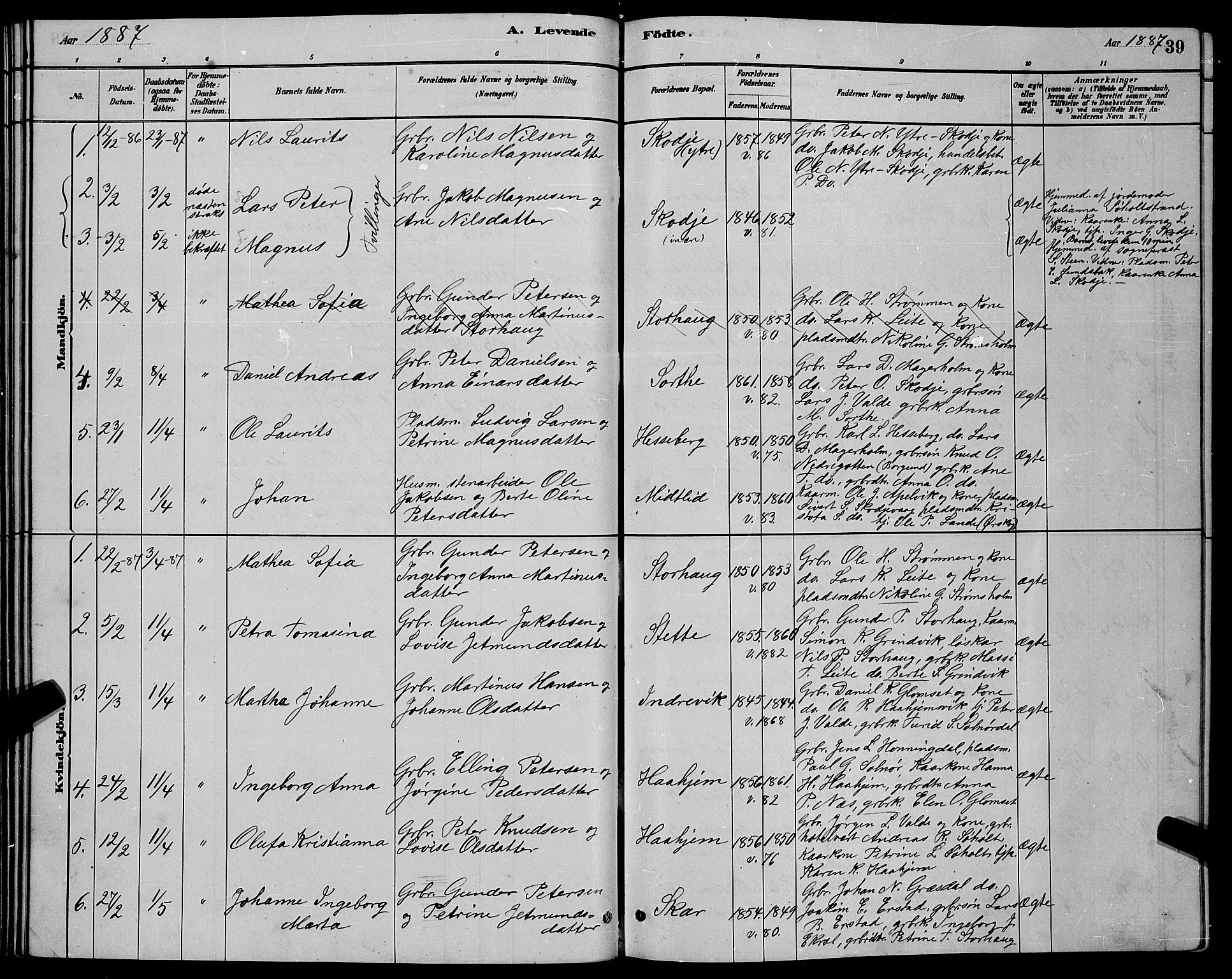 Ministerialprotokoller, klokkerbøker og fødselsregistre - Møre og Romsdal, AV/SAT-A-1454/524/L0365: Parish register (copy) no. 524C06, 1880-1899, p. 39