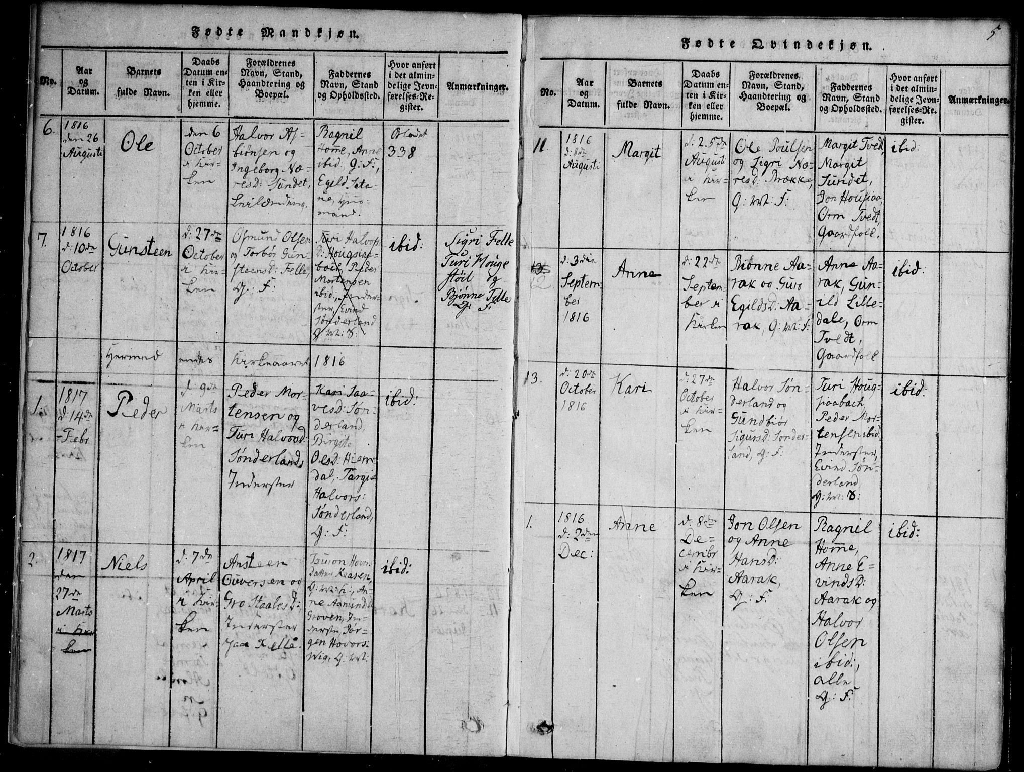 Nissedal kirkebøker, SAKO/A-288/F/Fb/L0001: Parish register (official) no. II 1, 1814-1845, p. 5