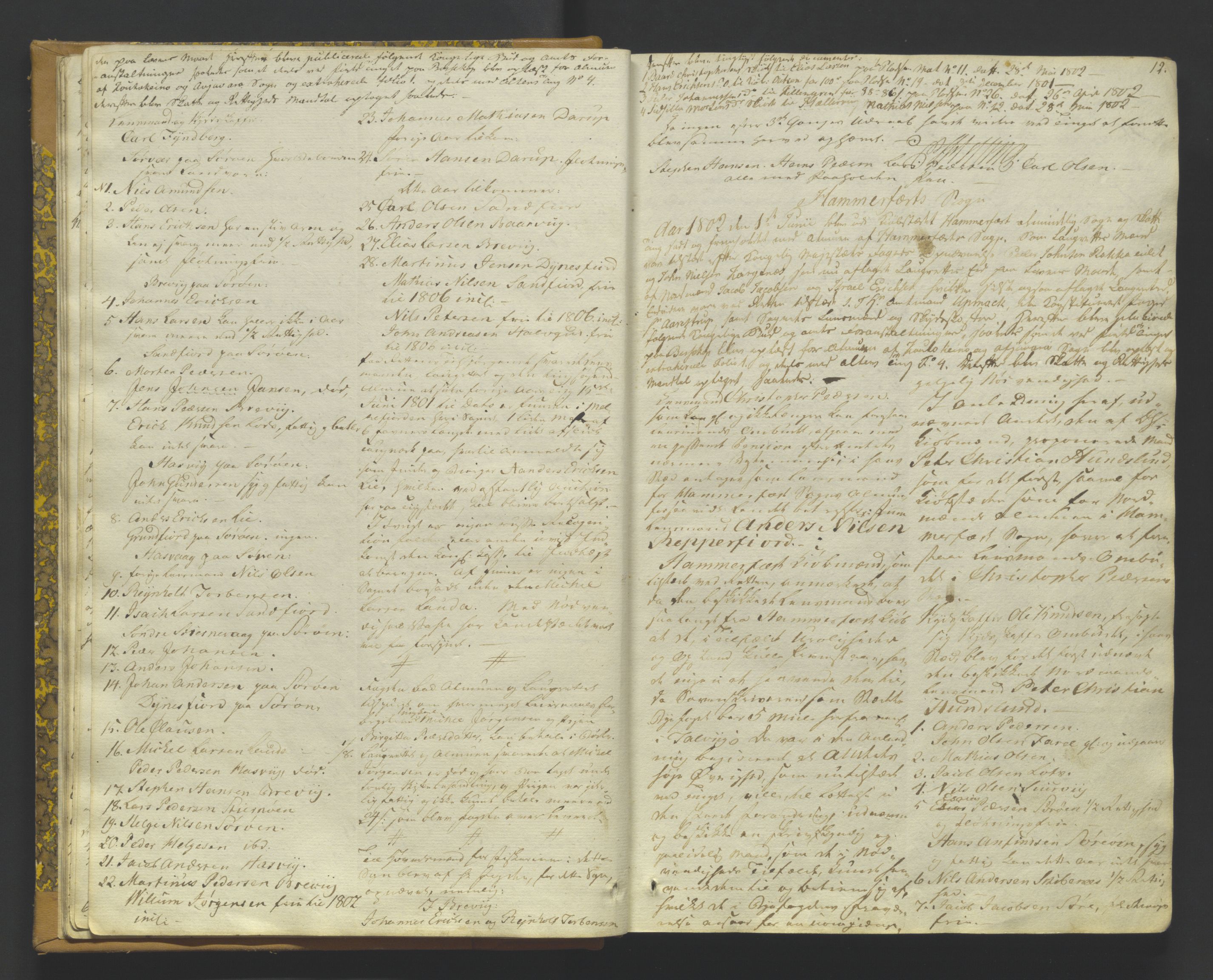 Finnmark sorenskriveri, AV/SATØ-S-0053/F/Fa/L0050: Justisprotokoller, 1802-1810, p. 11b-12a