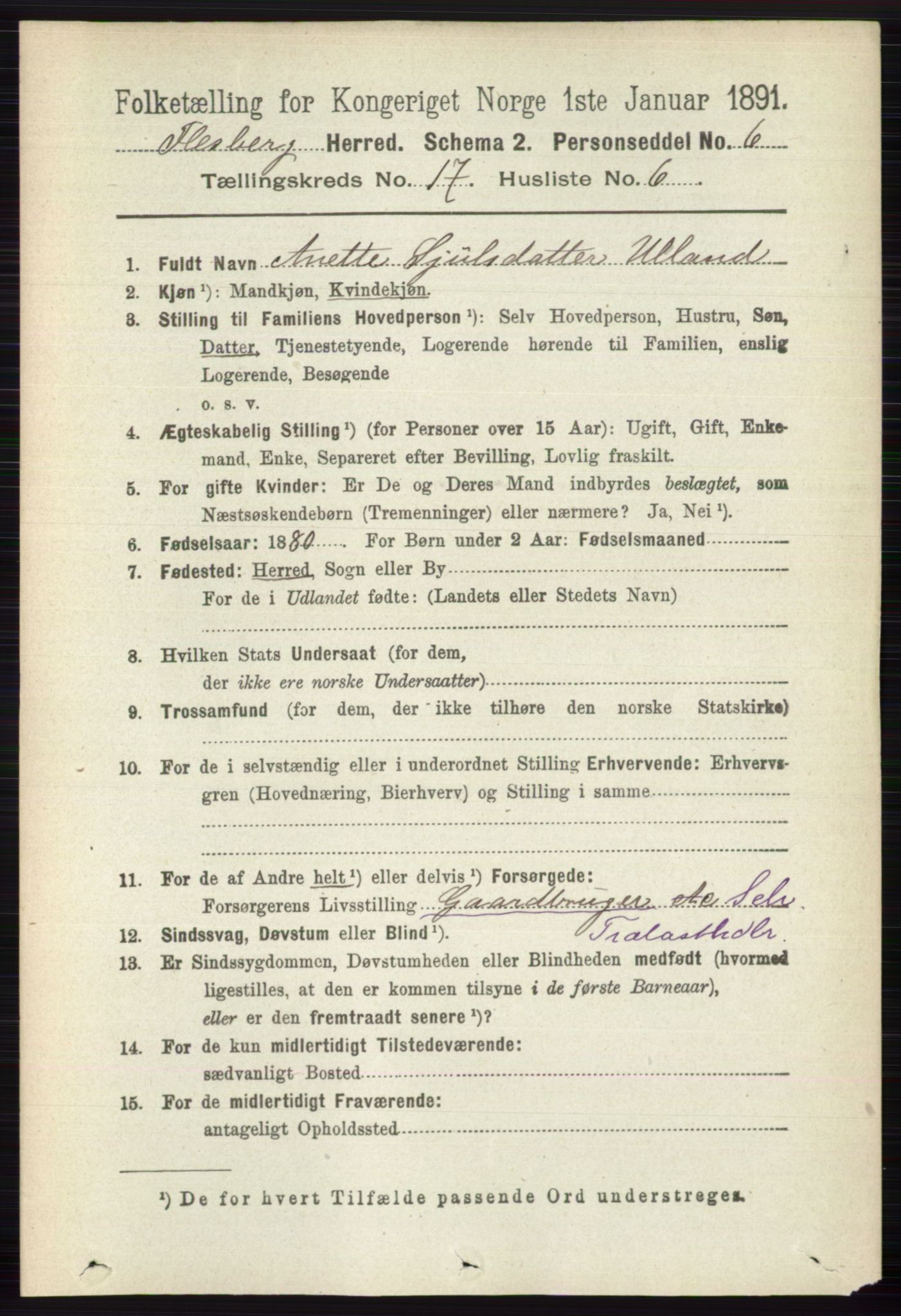 RA, 1891 census for 0631 Flesberg, 1891, p. 3018