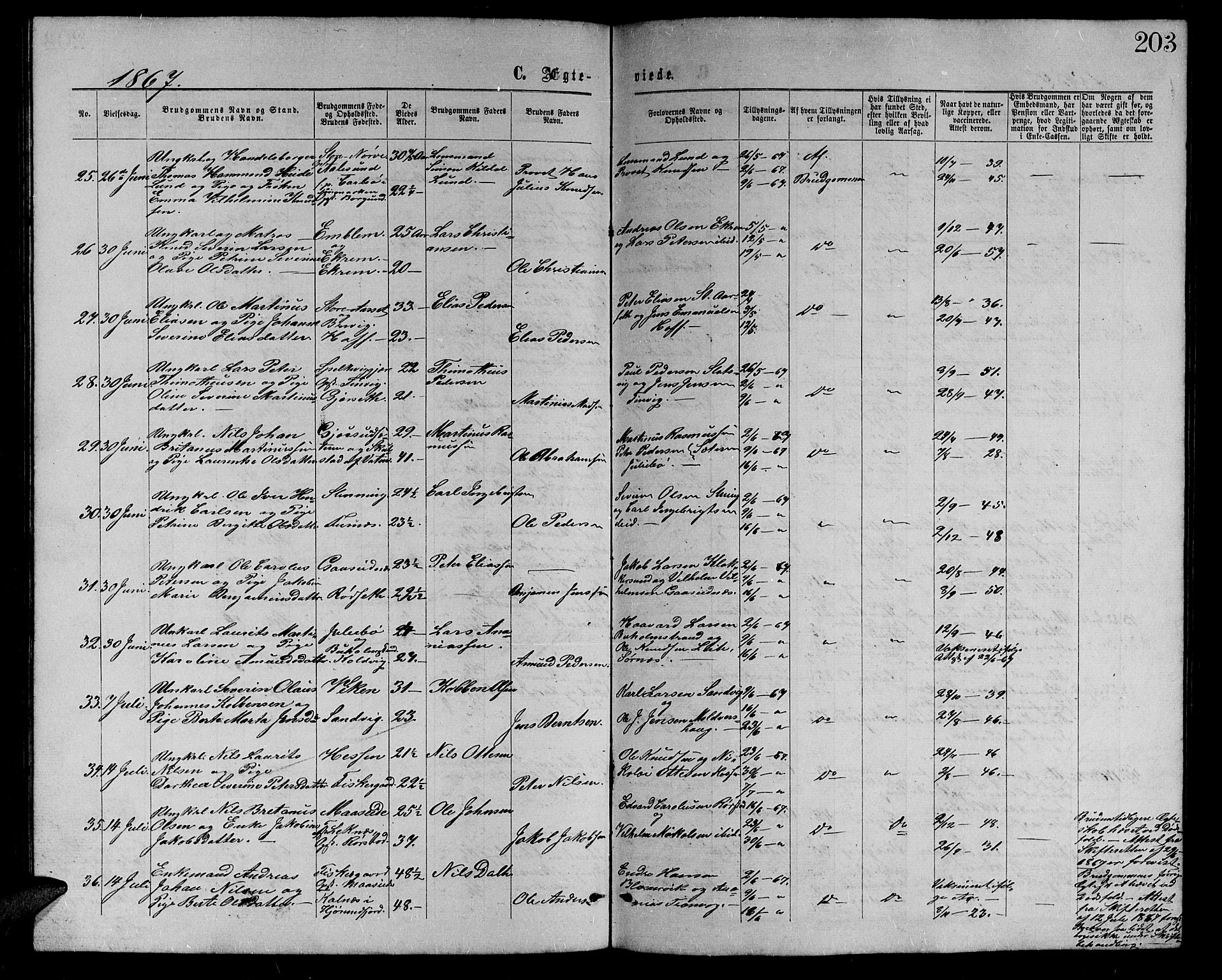 Ministerialprotokoller, klokkerbøker og fødselsregistre - Møre og Romsdal, AV/SAT-A-1454/528/L0428: Parish register (copy) no. 528C09, 1864-1880, p. 203