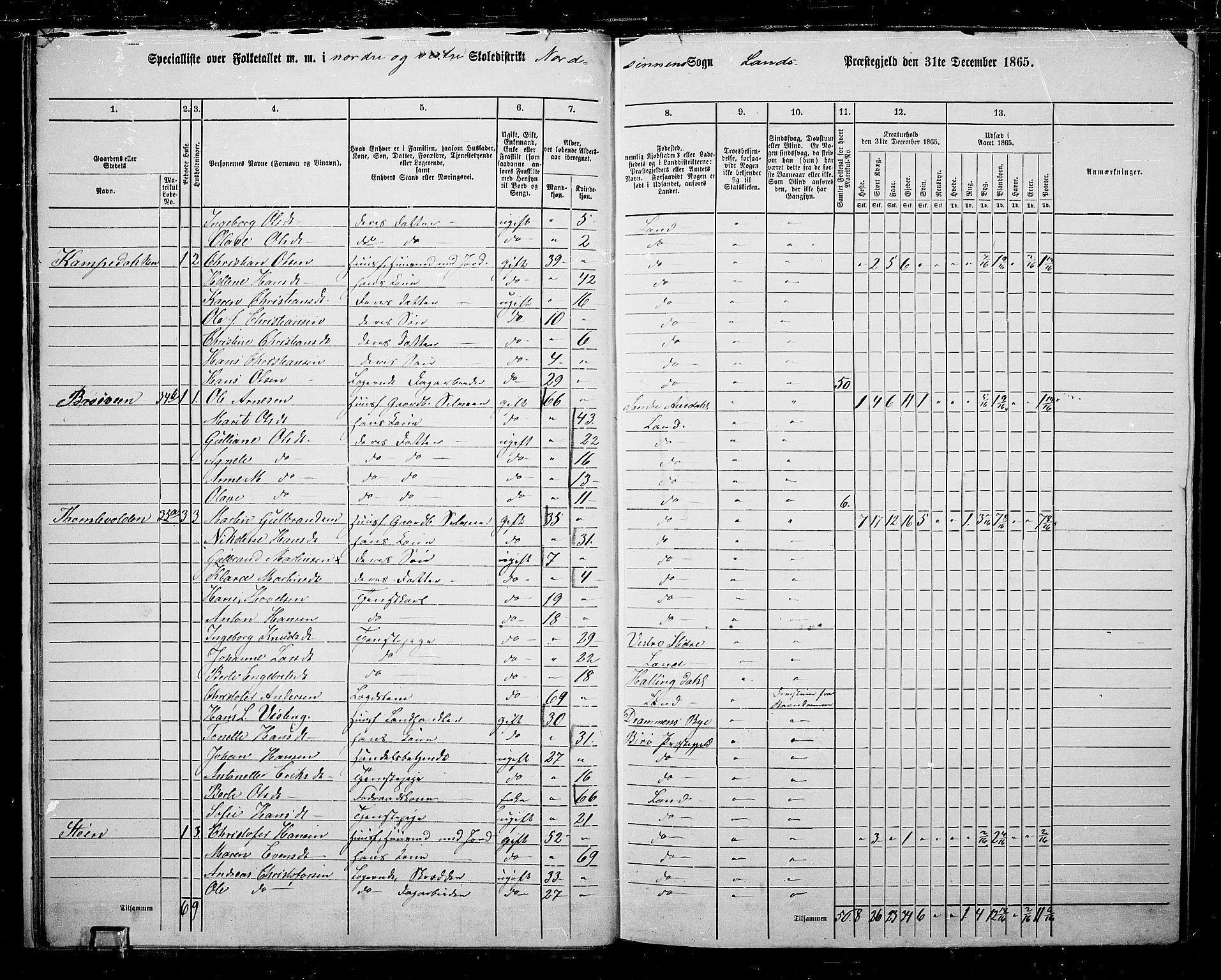 RA, 1865 census for Land, 1865, p. 26