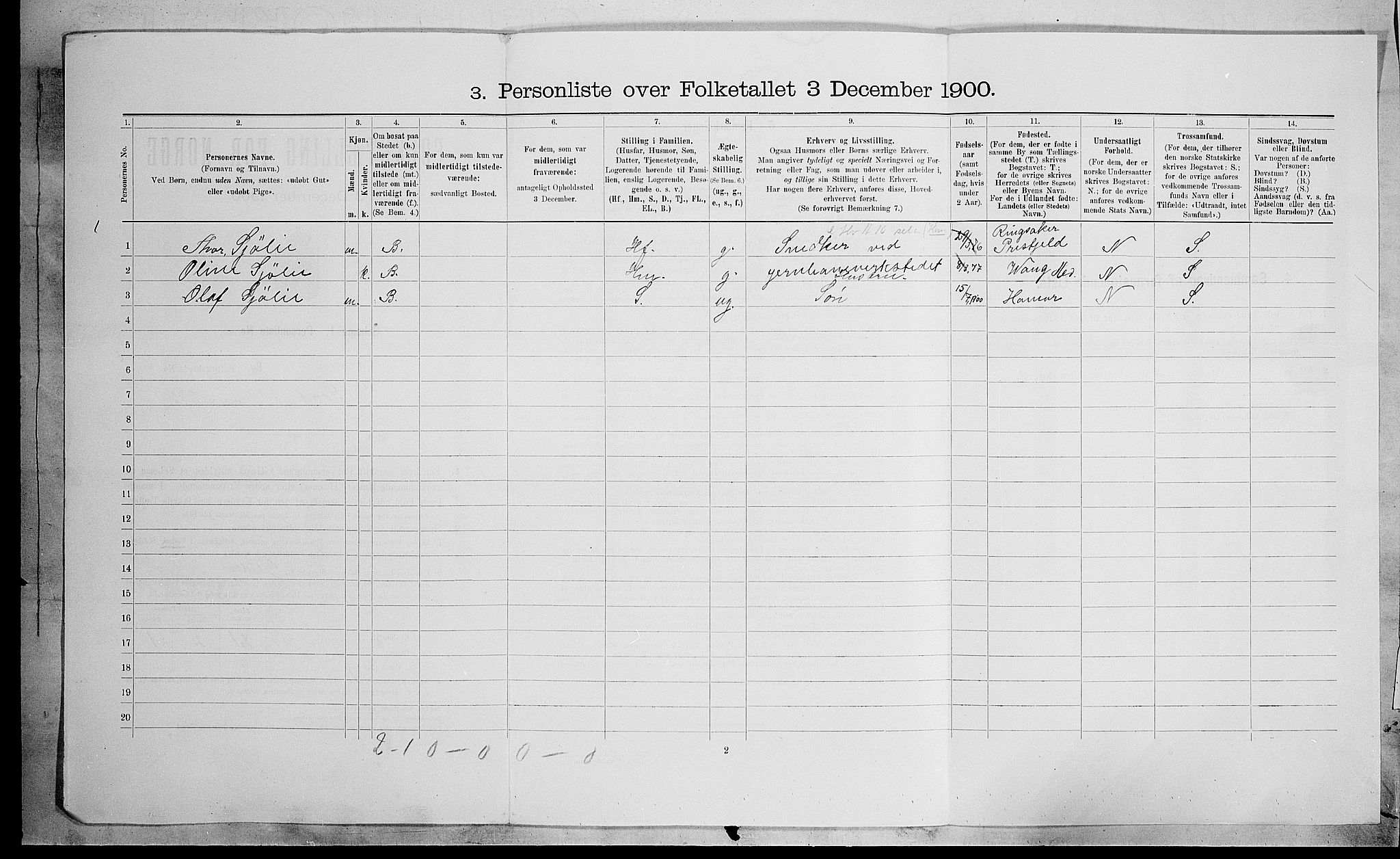 SAH, 1900 census for Hamar, 1900, p. 2446