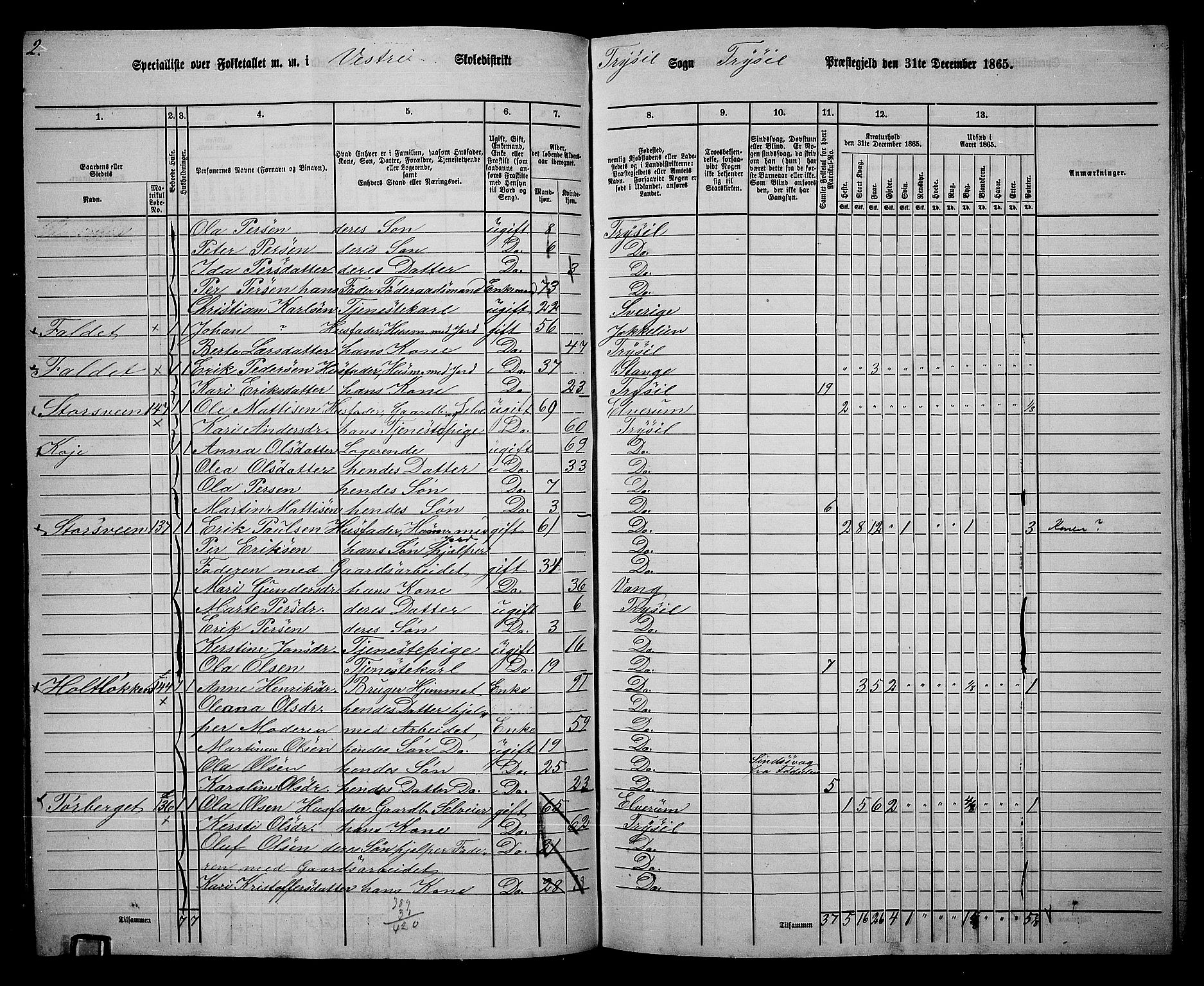 RA, 1865 census for Trysil, 1865, p. 87