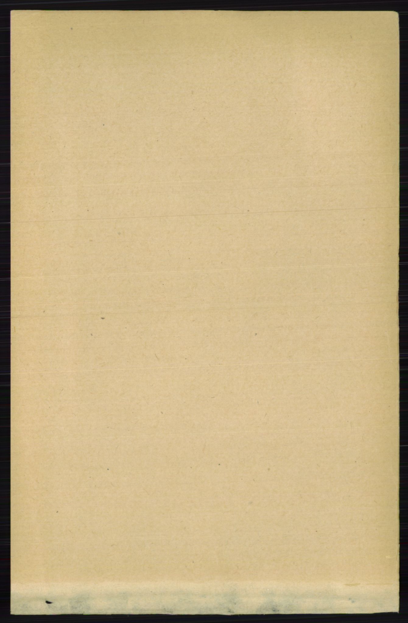 RA, 1891 census for 0229 Enebakk, 1891, p. 2896