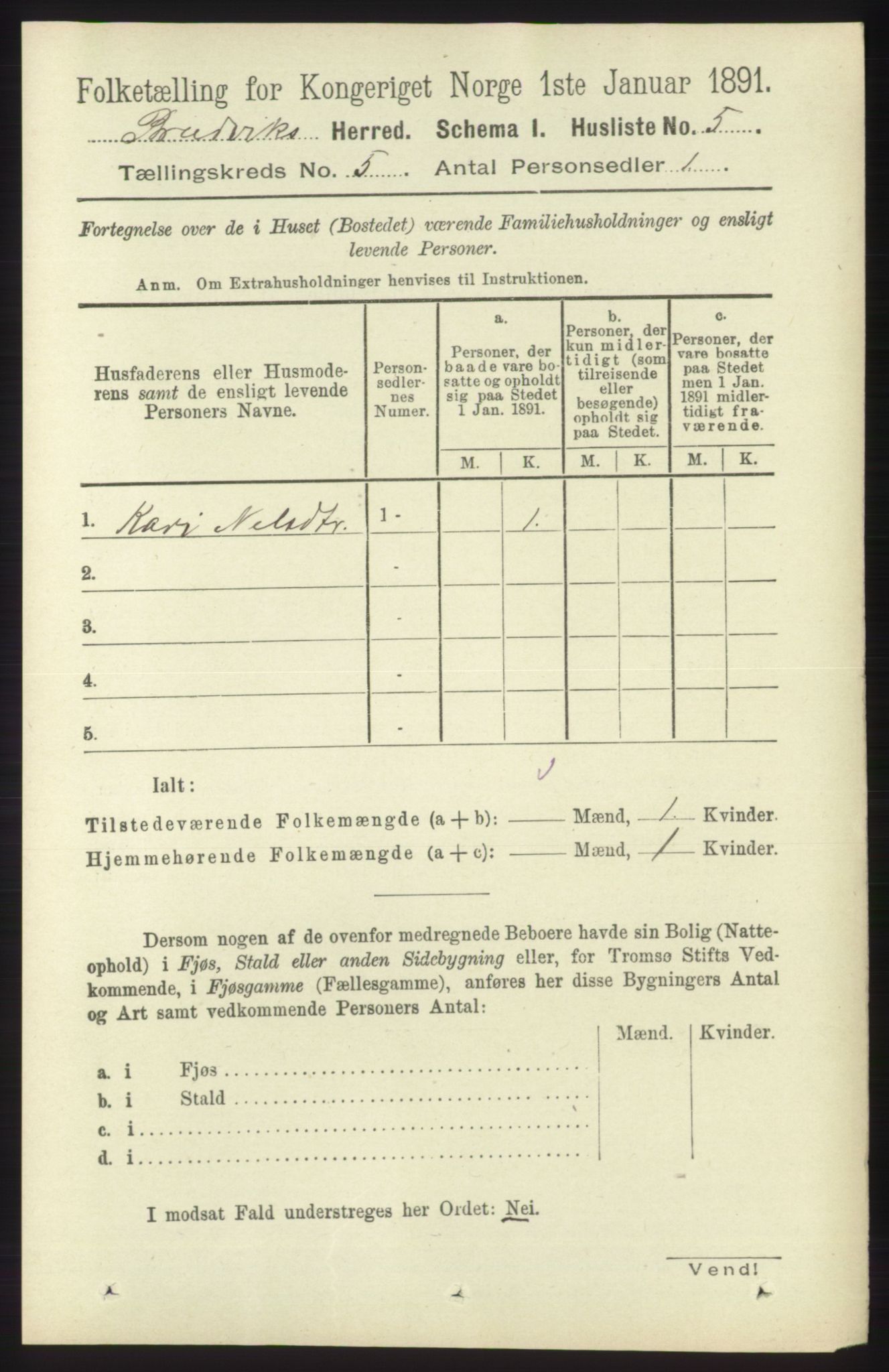 RA, 1891 census for 1251 Bruvik, 1891, p. 1224