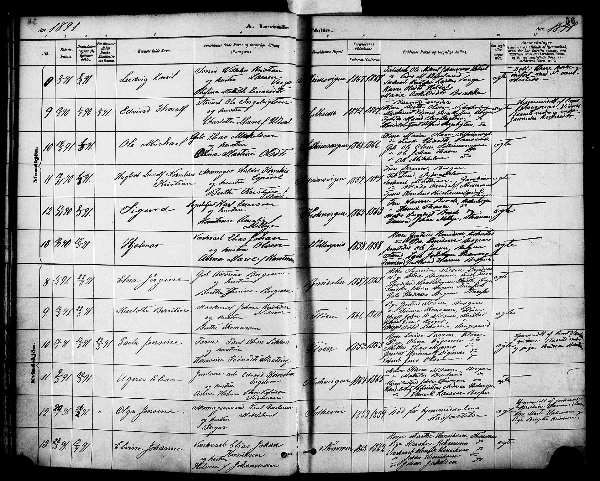 Årstad Sokneprestembete, AV/SAB-A-79301/H/Haa/L0001: Parish register (official) no. A 1, 1886-1901, p. 56