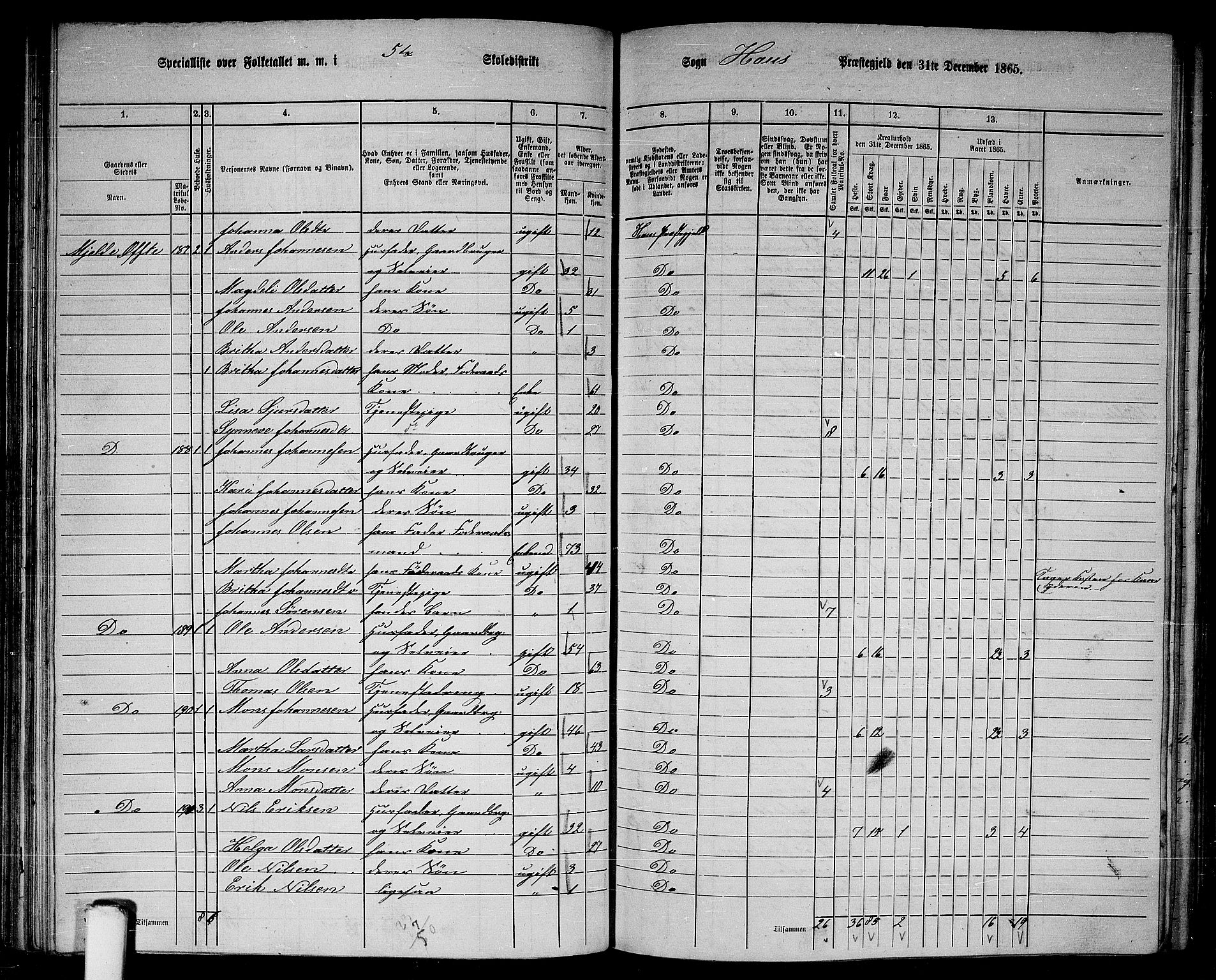 RA, 1865 census for Haus, 1865, p. 94