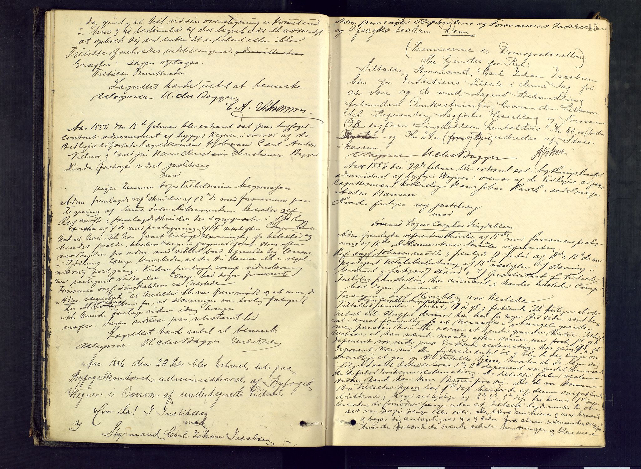Larvik byfogd, AV/SAKO-A-218/F/Fd/L0012: Ekstrarettsprotokoll., 1885-1889, p. 15