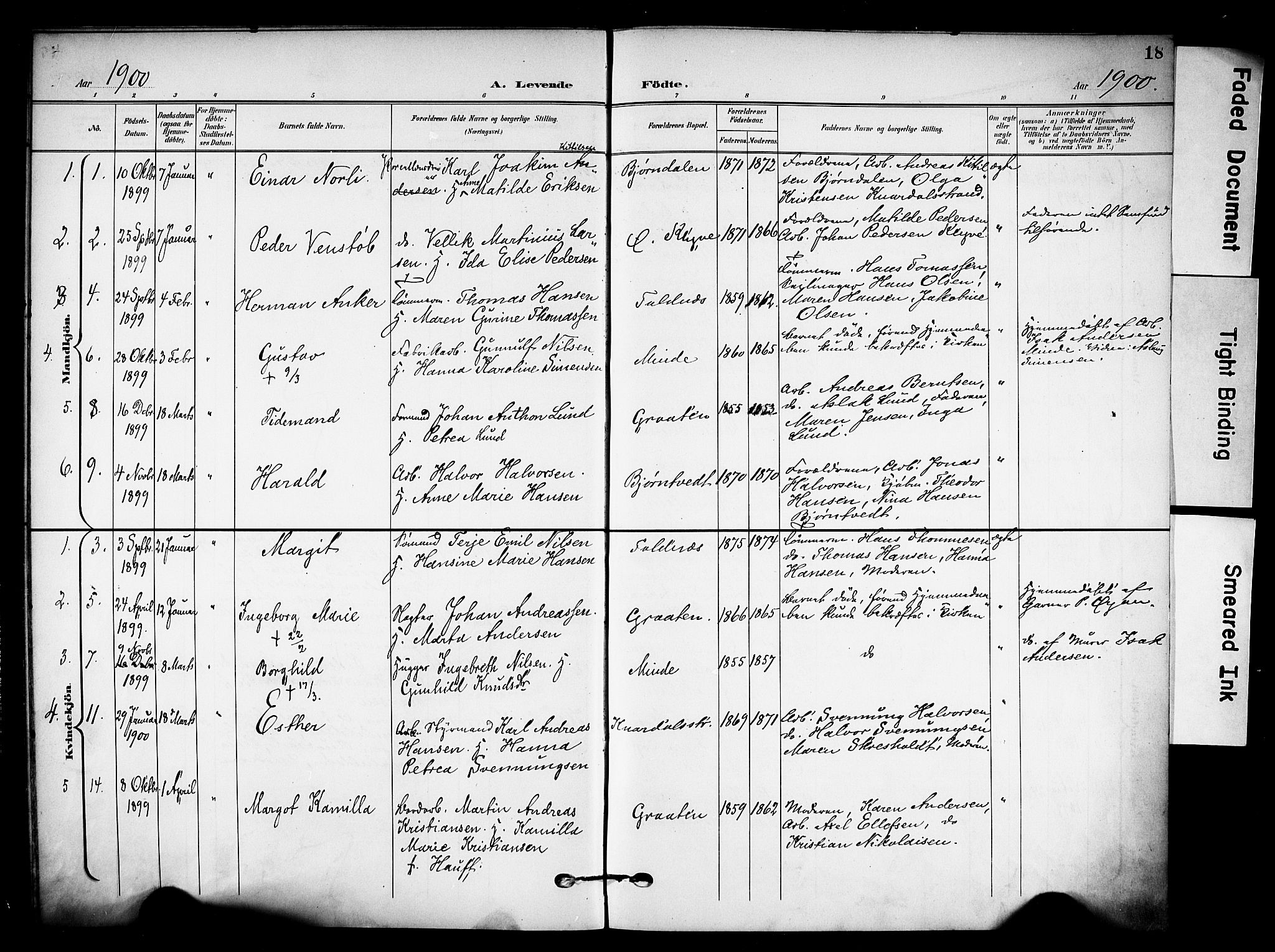 Solum kirkebøker, AV/SAKO-A-306/F/Fa/L0011: Parish register (official) no. I 11, 1898-1909, p. 18