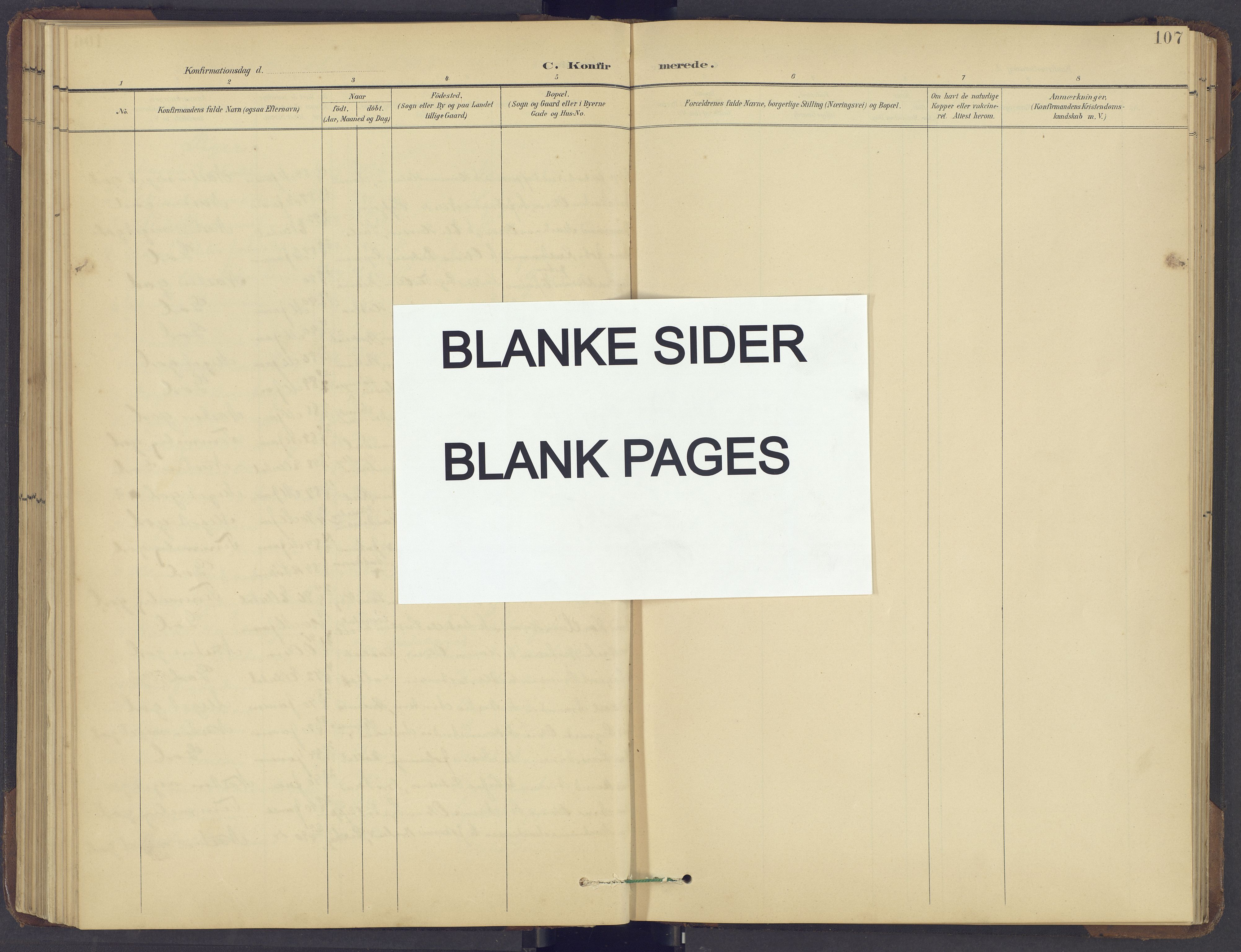 Brandval prestekontor, AV/SAH-PREST-034/H/Ha/Hab/L0002: Parish register (copy) no. 2, 1895-1904, p. 107