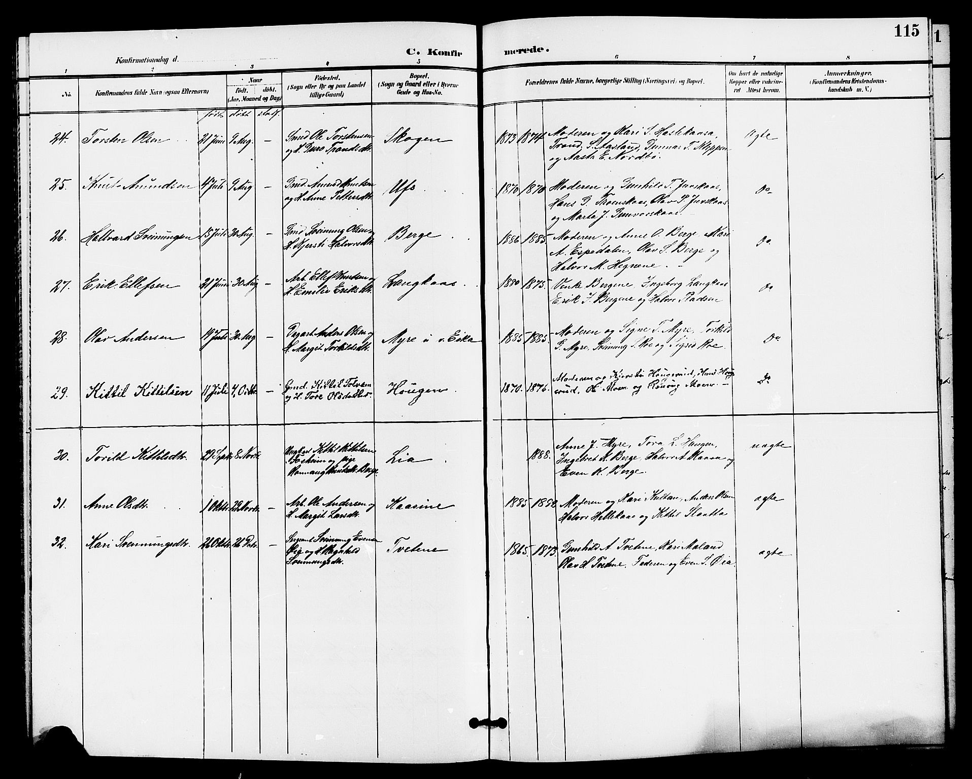 Bø kirkebøker, AV/SAKO-A-257/G/Ga/L0006: Parish register (copy) no. 6, 1898-1909, p. 115