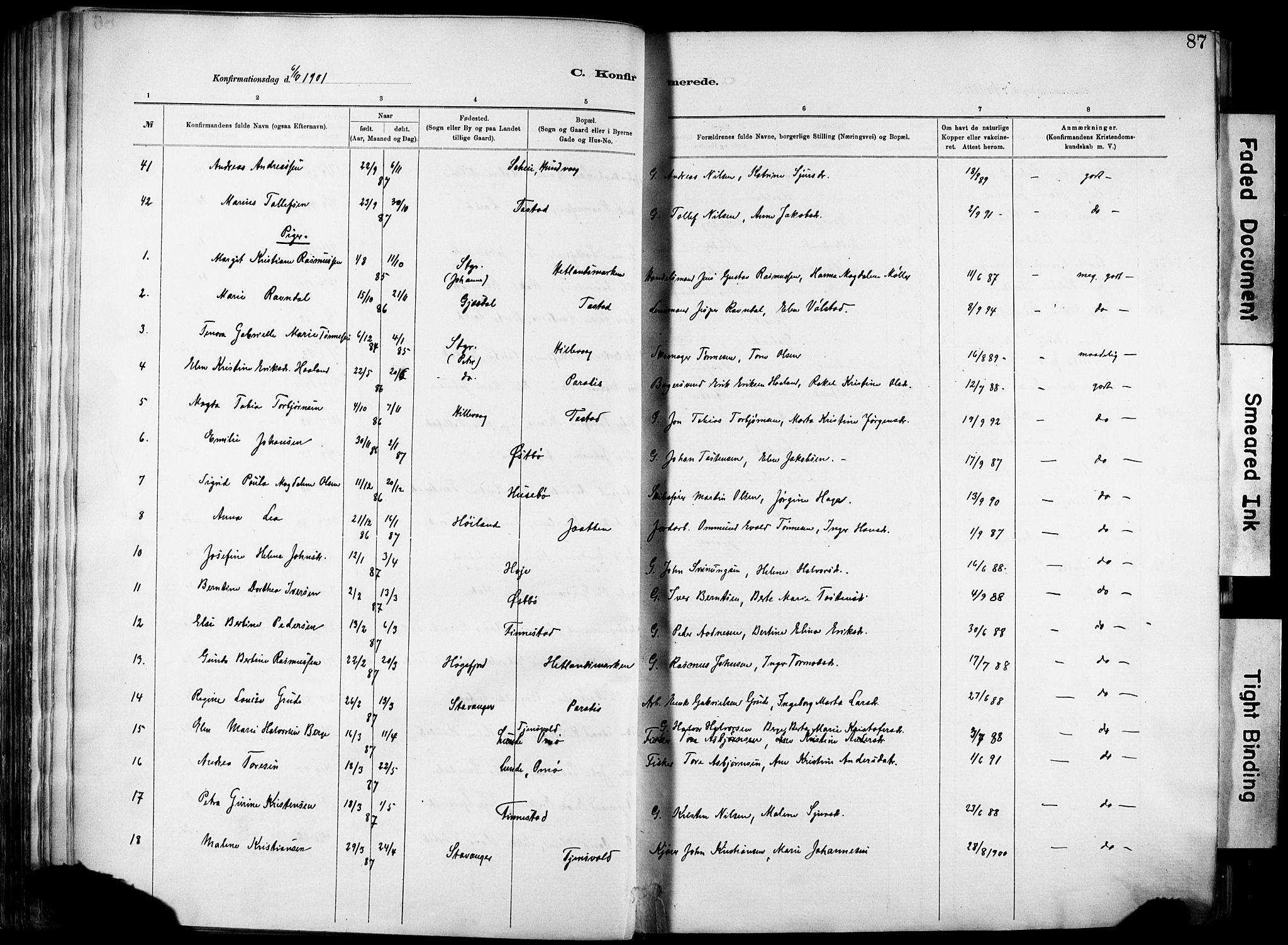 Hetland sokneprestkontor, SAST/A-101826/30/30BA/L0012: Parish register (official) no. A 12, 1882-1912, p. 87