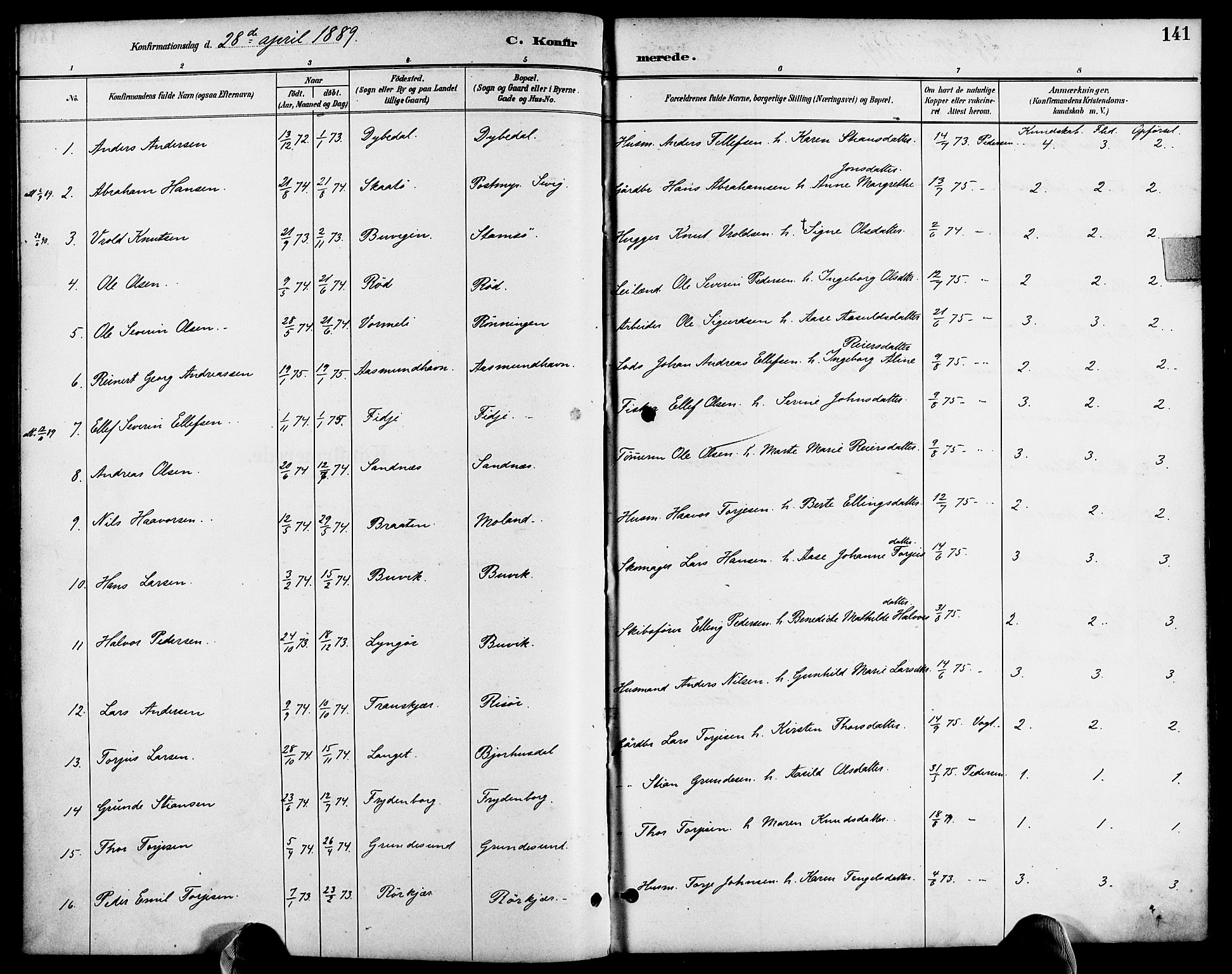Søndeled sokneprestkontor, AV/SAK-1111-0038/F/Fa/L0005: Parish register (official) no. A 5, 1889-1899, p. 141