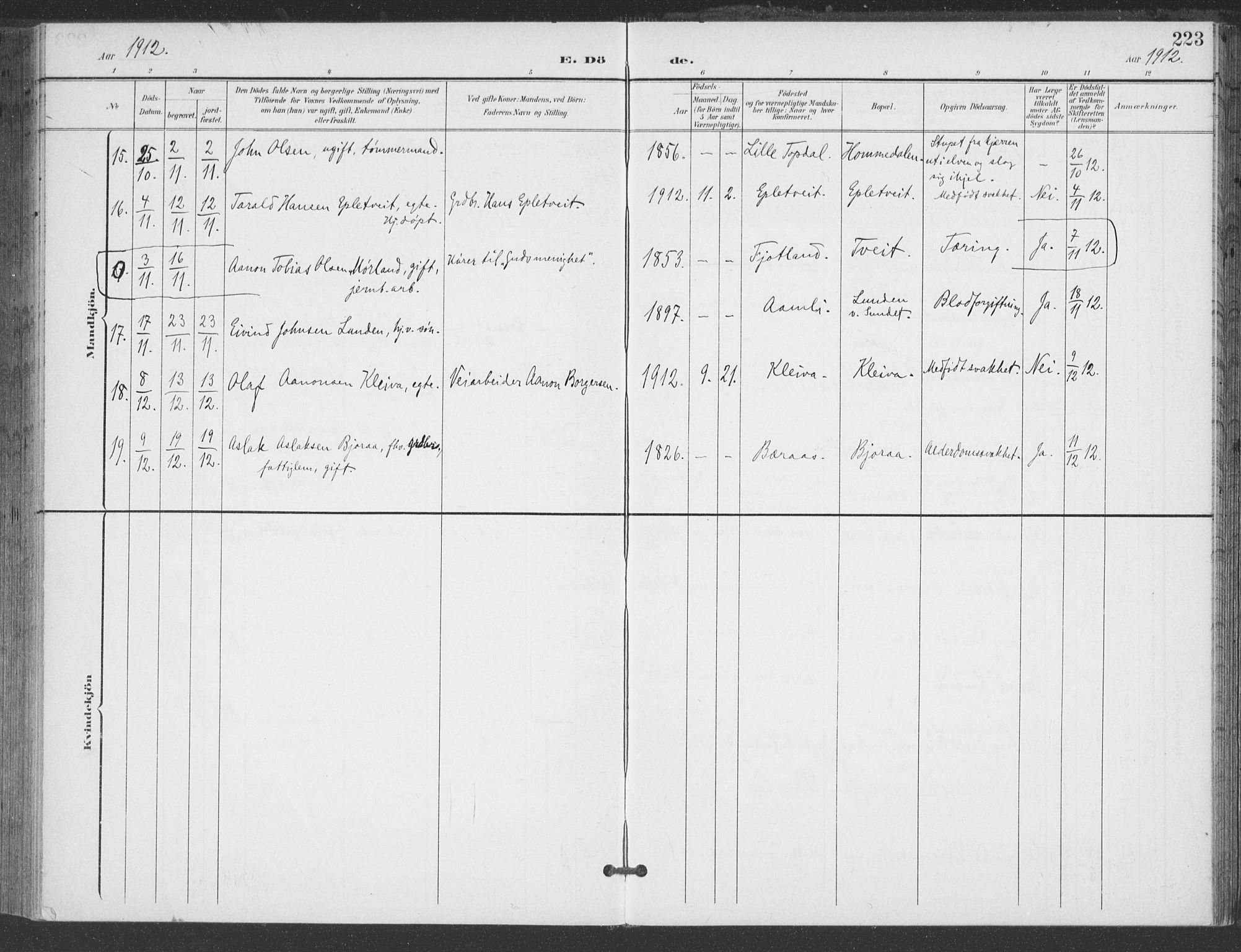 Åmli sokneprestkontor, AV/SAK-1111-0050/F/Fa/Fac/L0012: Parish register (official) no. A 12, 1900-1914, p. 223