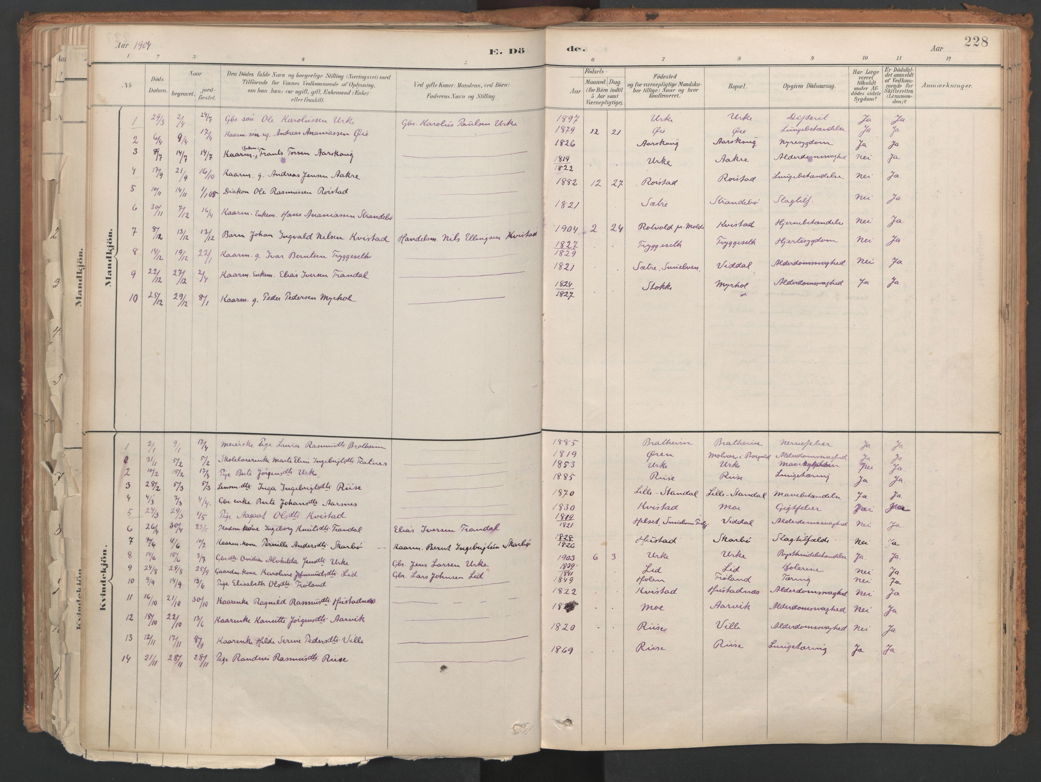 Ministerialprotokoller, klokkerbøker og fødselsregistre - Møre og Romsdal, SAT/A-1454/515/L0211: Parish register (official) no. 515A07, 1886-1910, p. 228